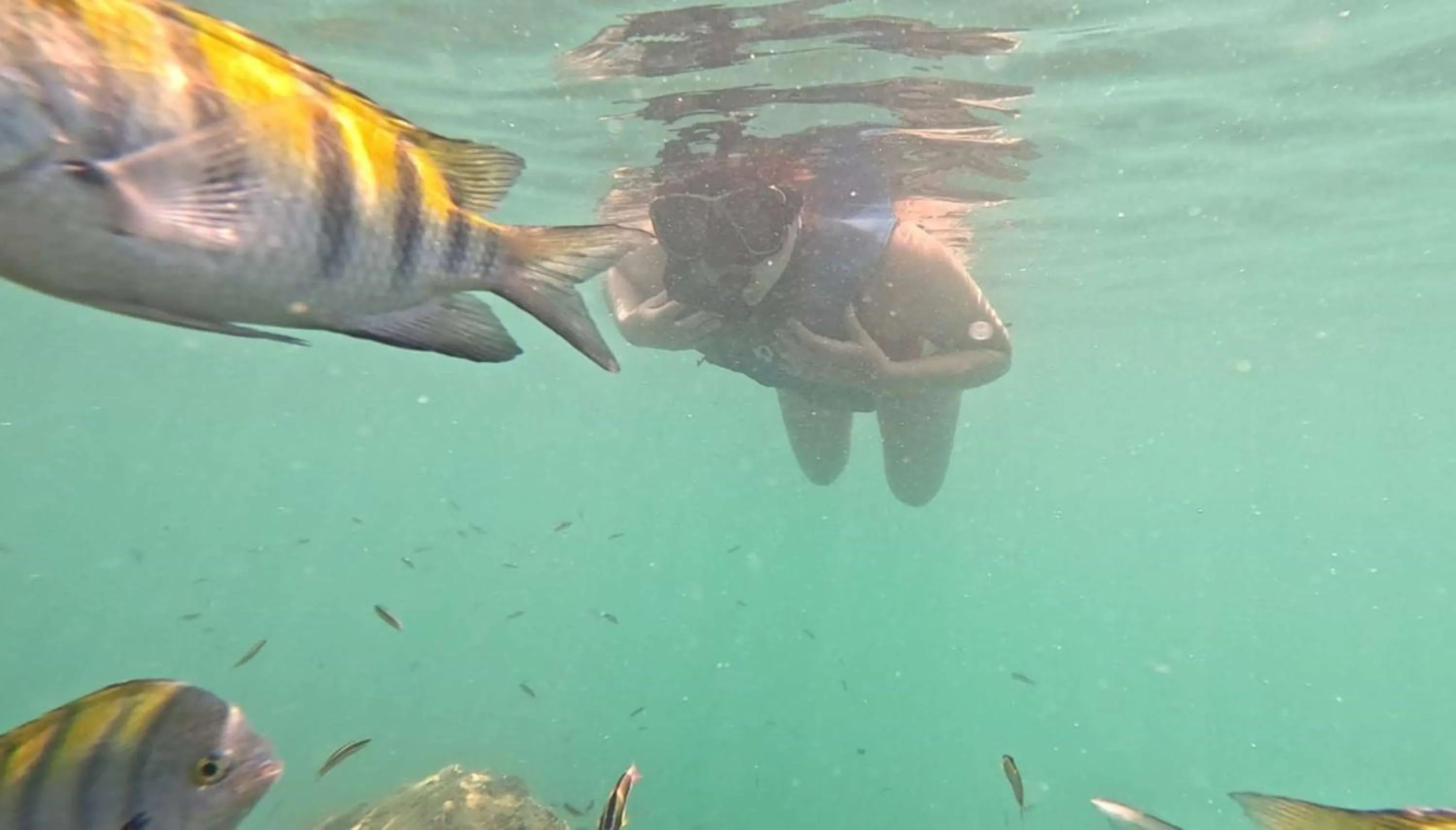 Nearby landmark in Best Western Hotel & Casino Kamuk