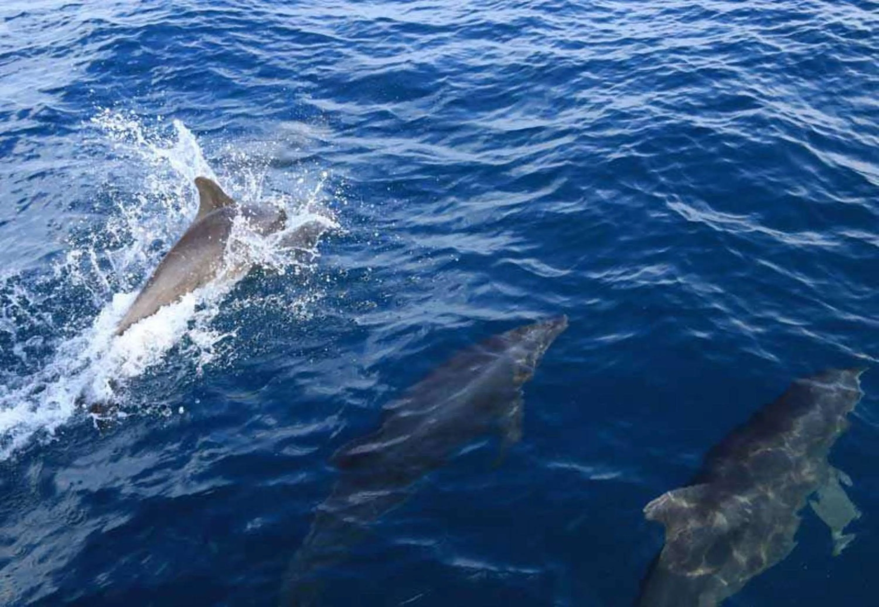 Nearby landmark in Best Western Hotel & Casino Kamuk