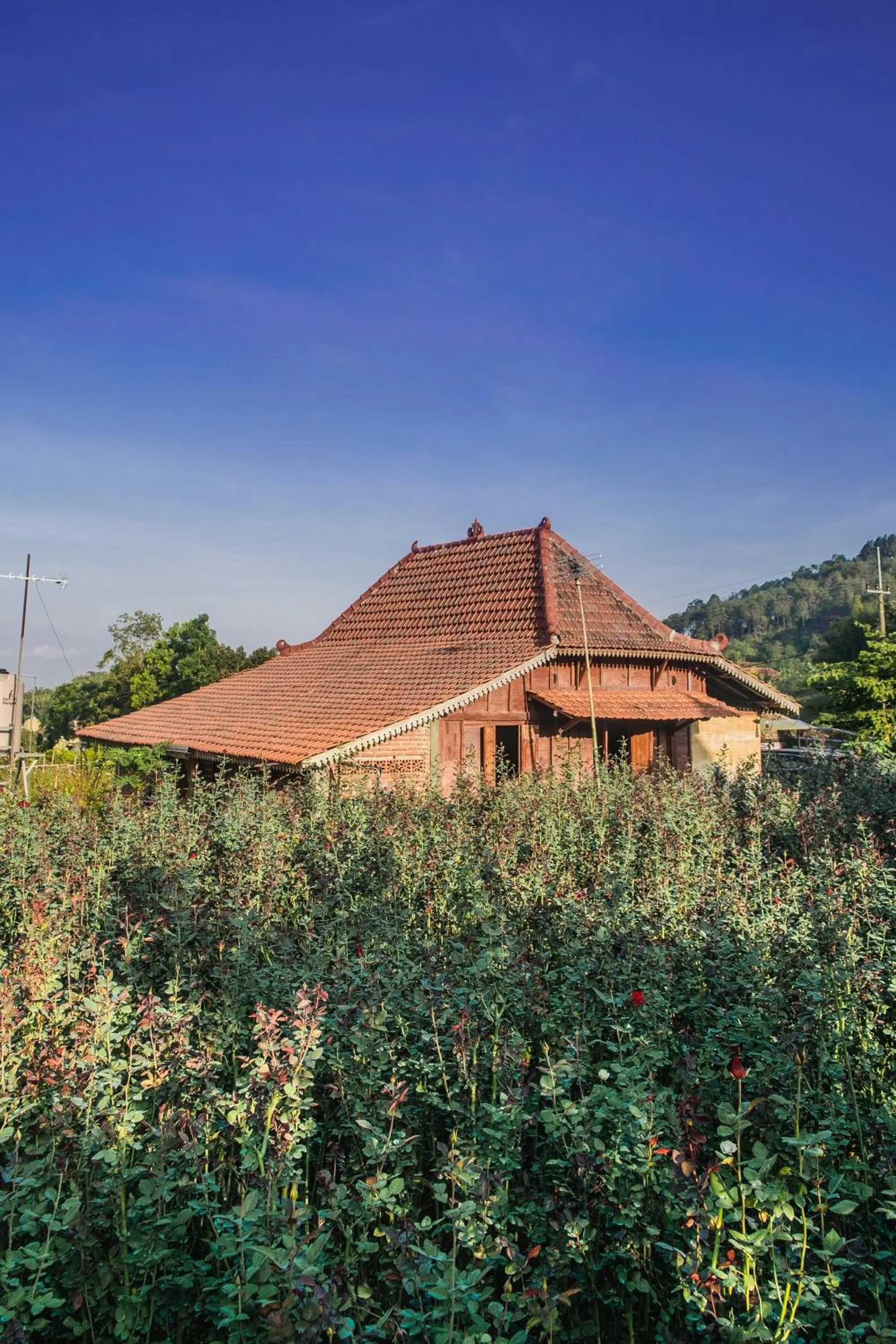 Property building in Sekar Gambir Homestay