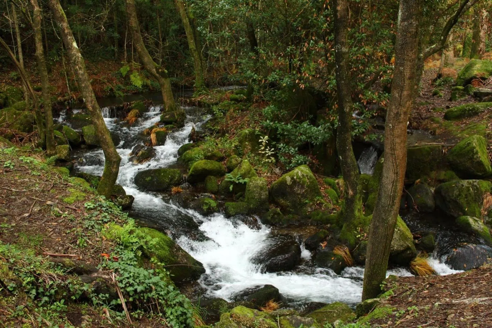 Activities in Cidnay Santo Tirso - Charming Hotel & Executive Center