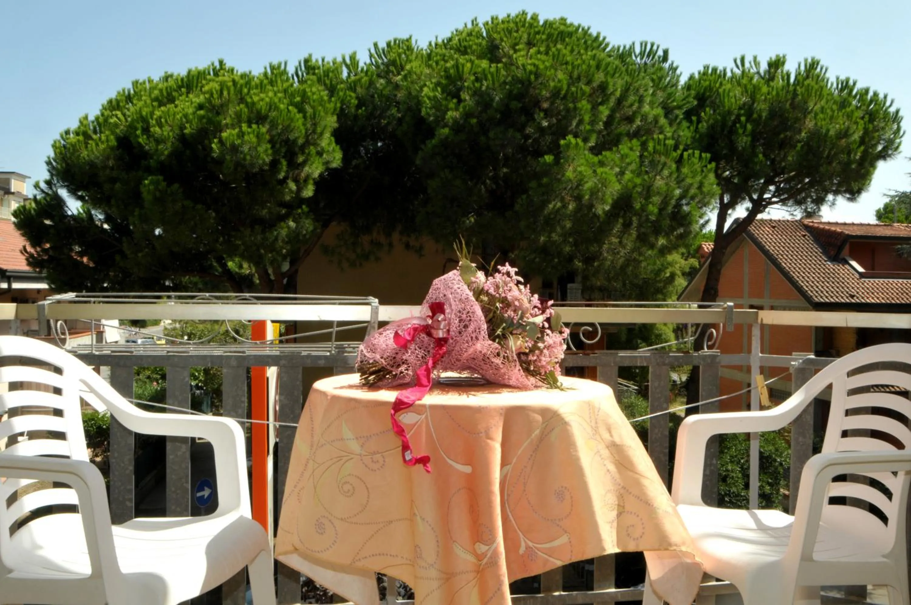 Garden view in Hotel Levante