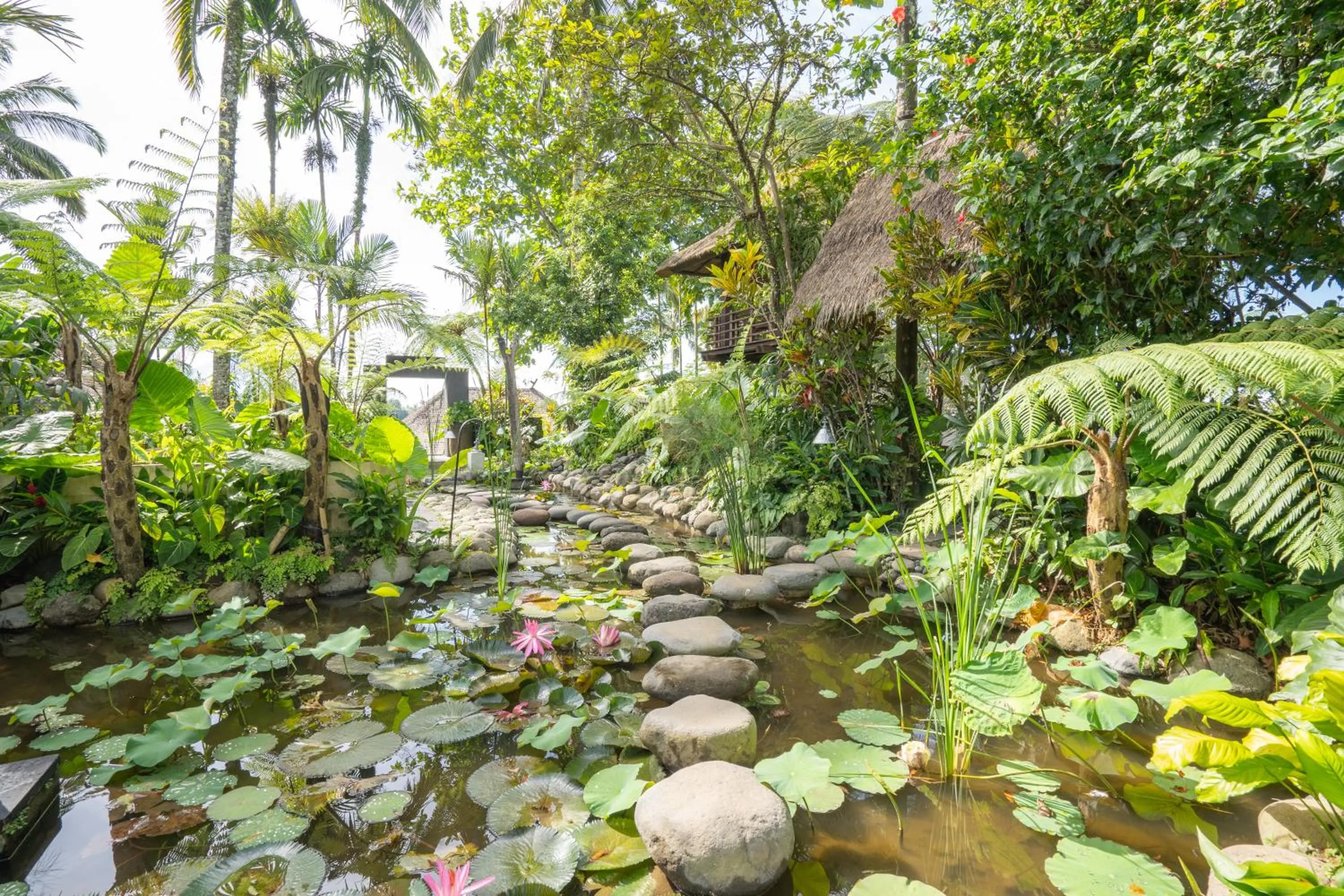 Garden in Awan Putih Resort