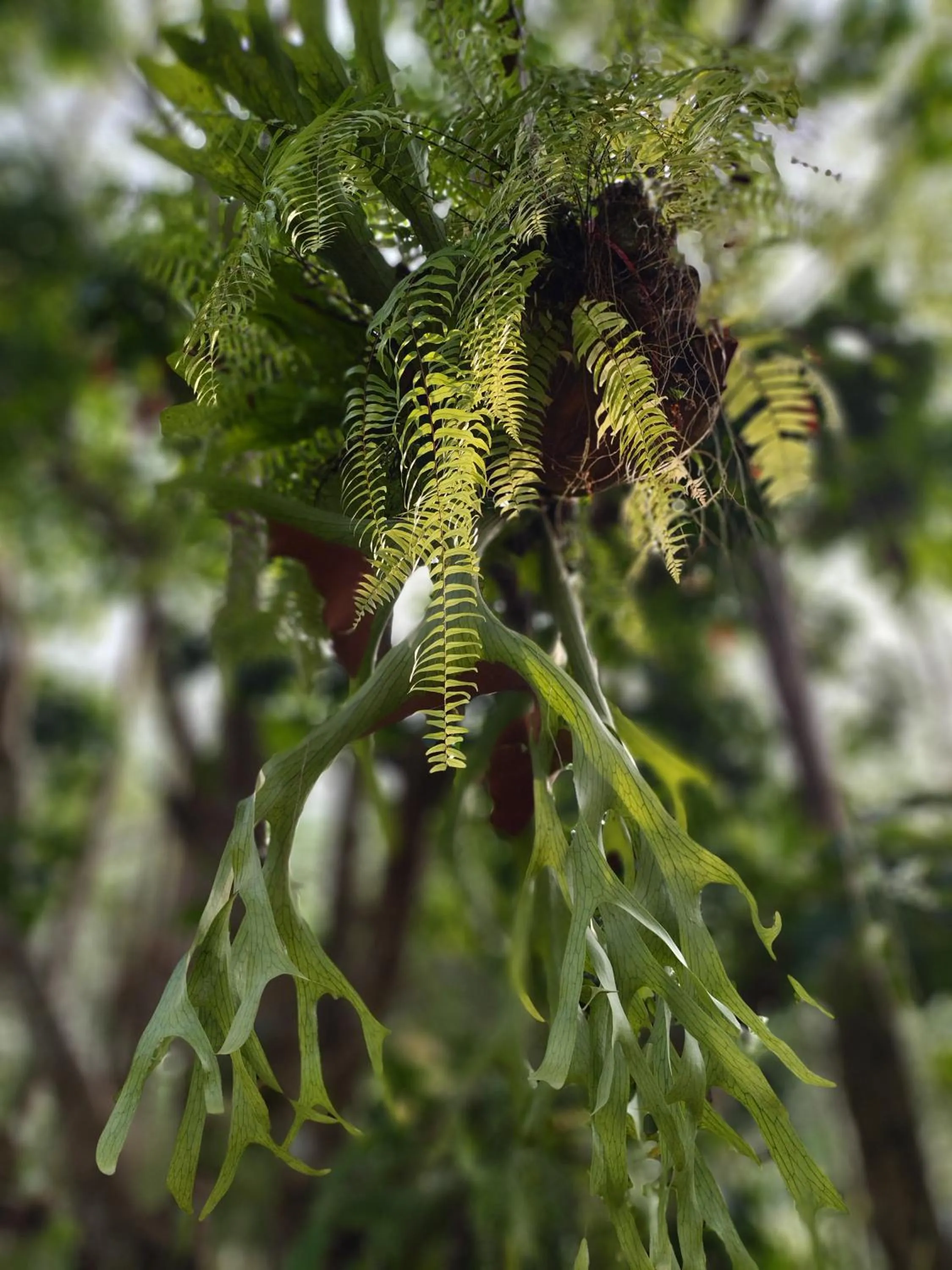 Natural landscape in Baan Hotelier Resort