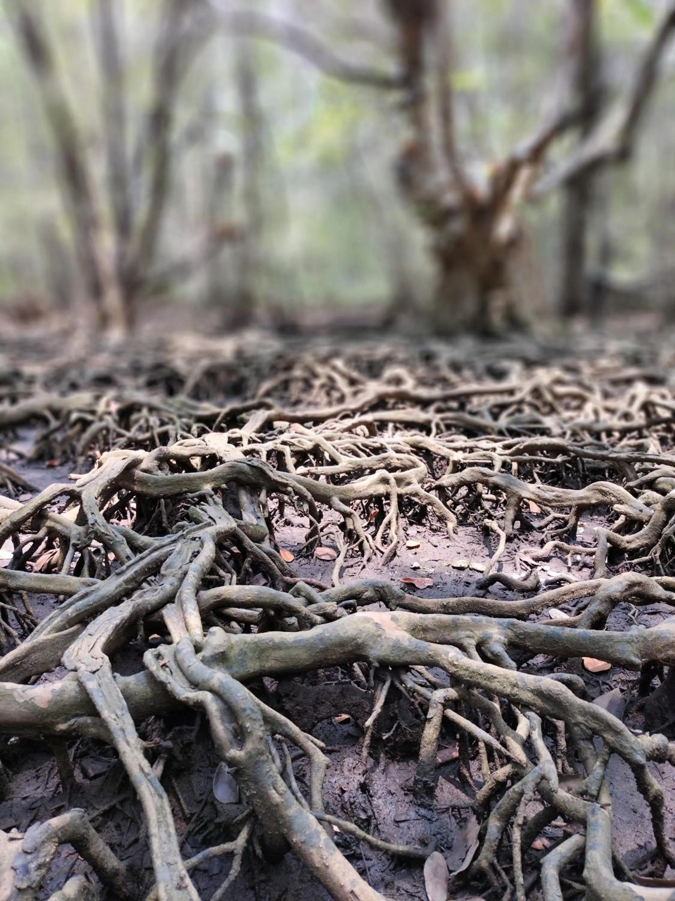 Baan Hotelier Resort