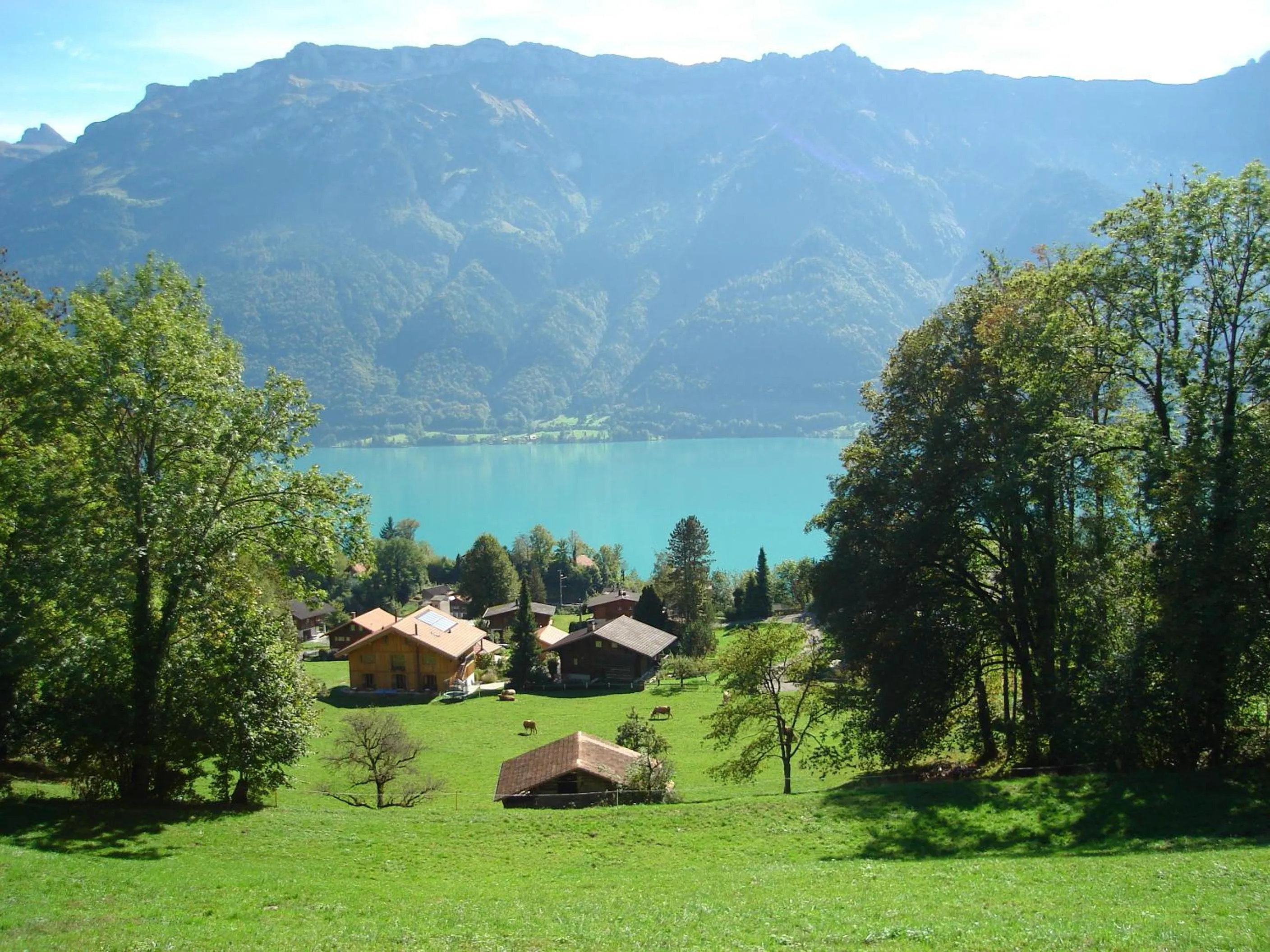 View (from property/room) in Hotel Milan B&B