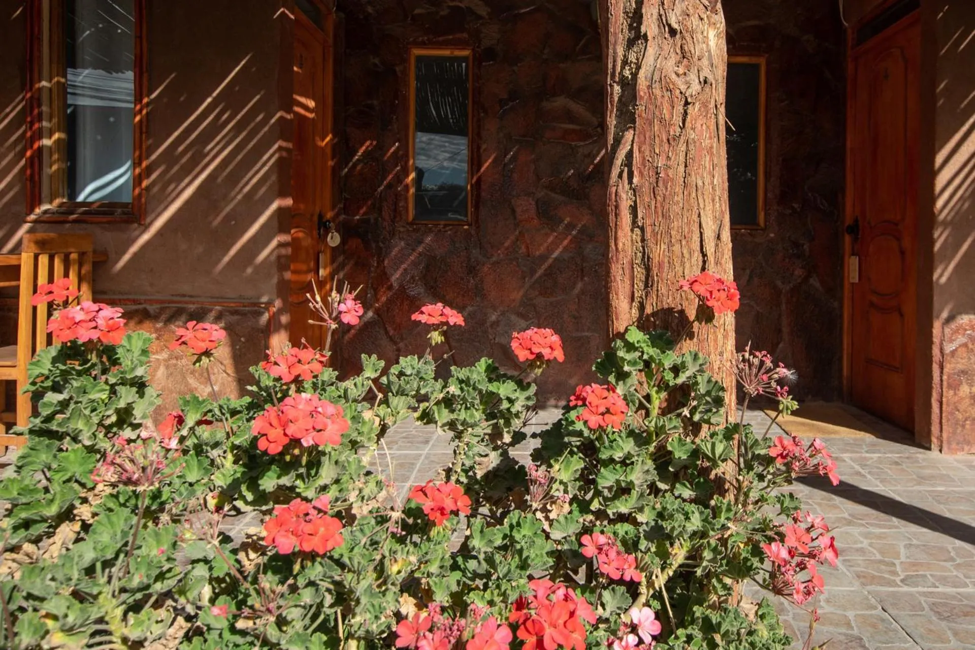 Garden view in Casa Lickana B&B