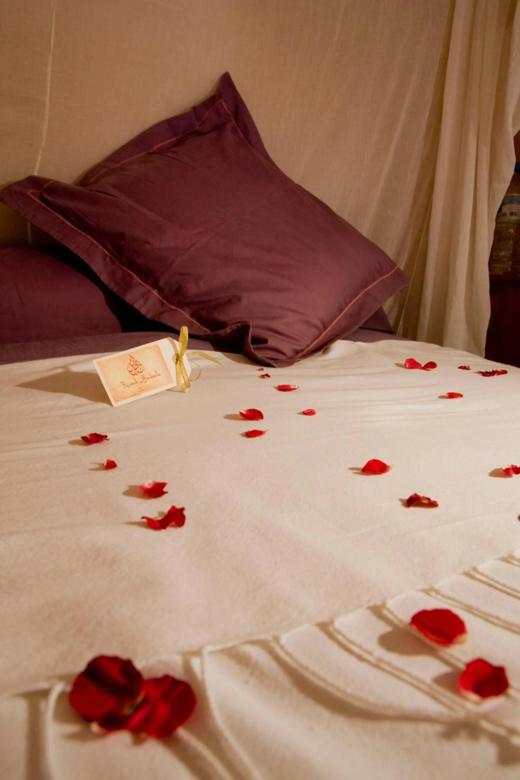Alil Double Room - single occupancy in Riad Ajebel