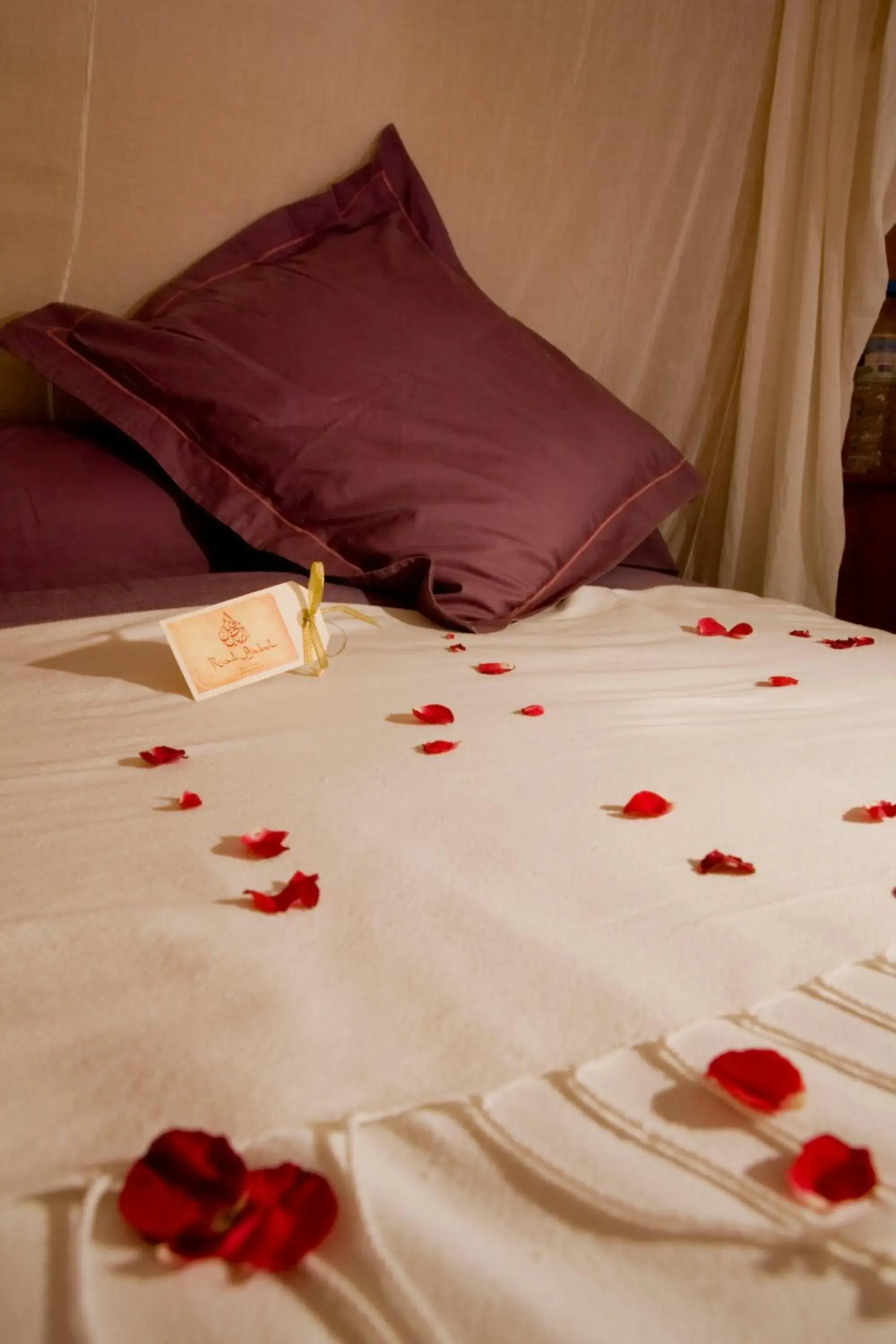 Alil Double Room - single occupancy in Riad Ajebel Alil Double Room - single occupancy in Riad Ajebel