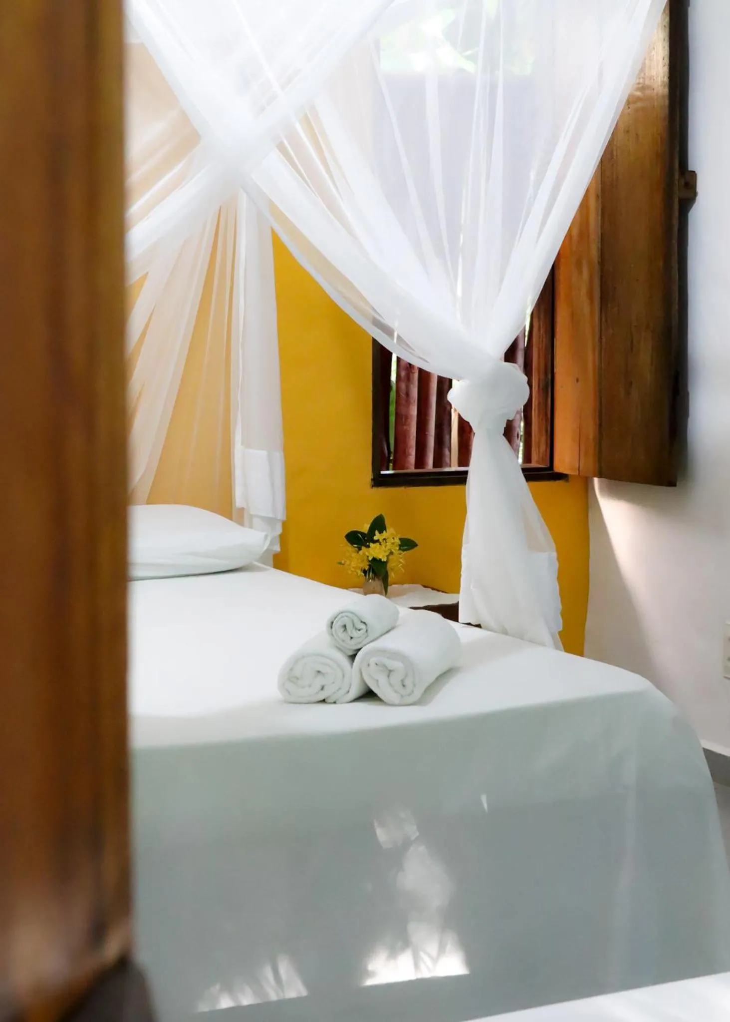 Double Room in Pousada Tortuga