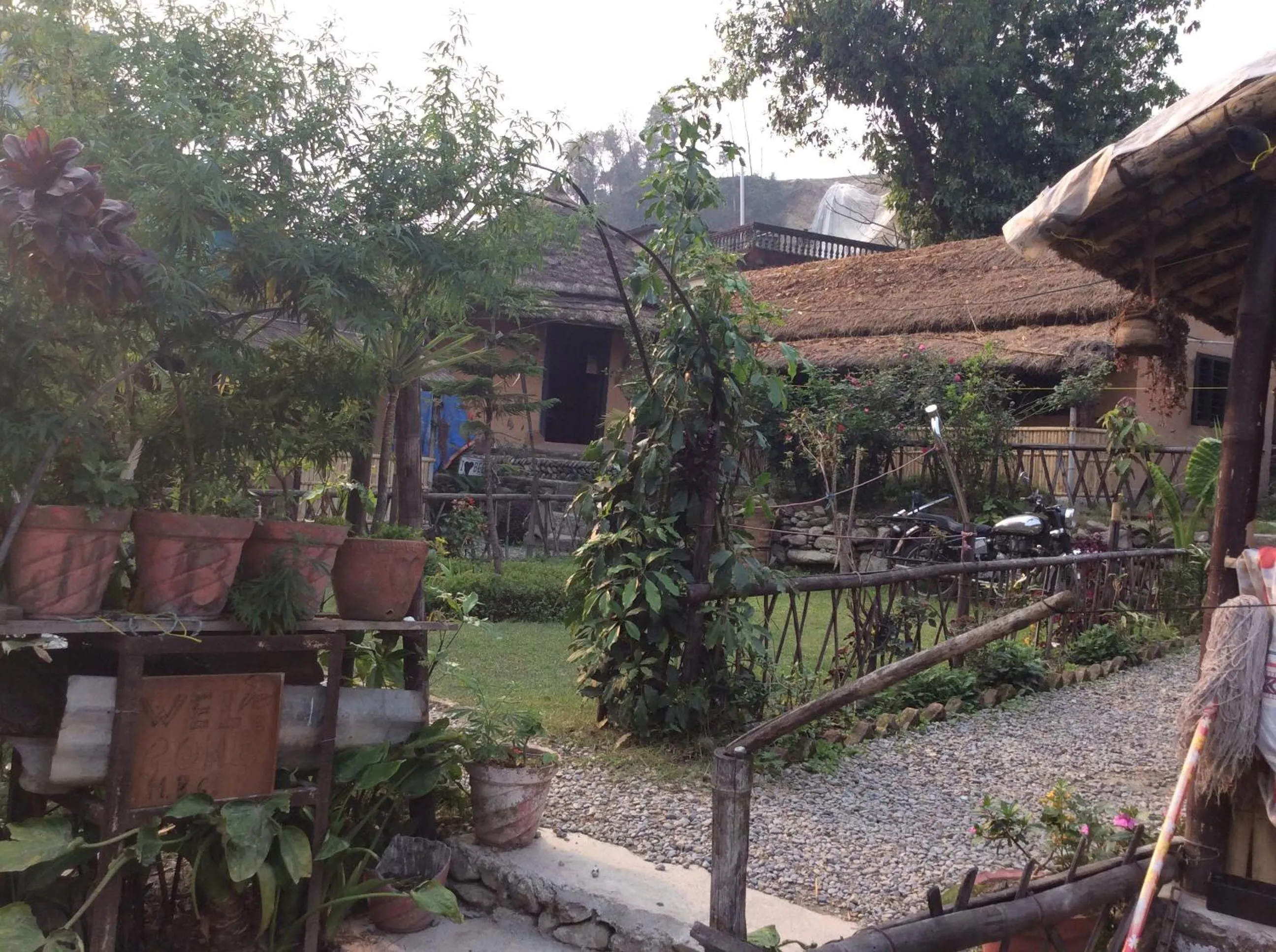 Garden in My beautiful cottage in pokhara