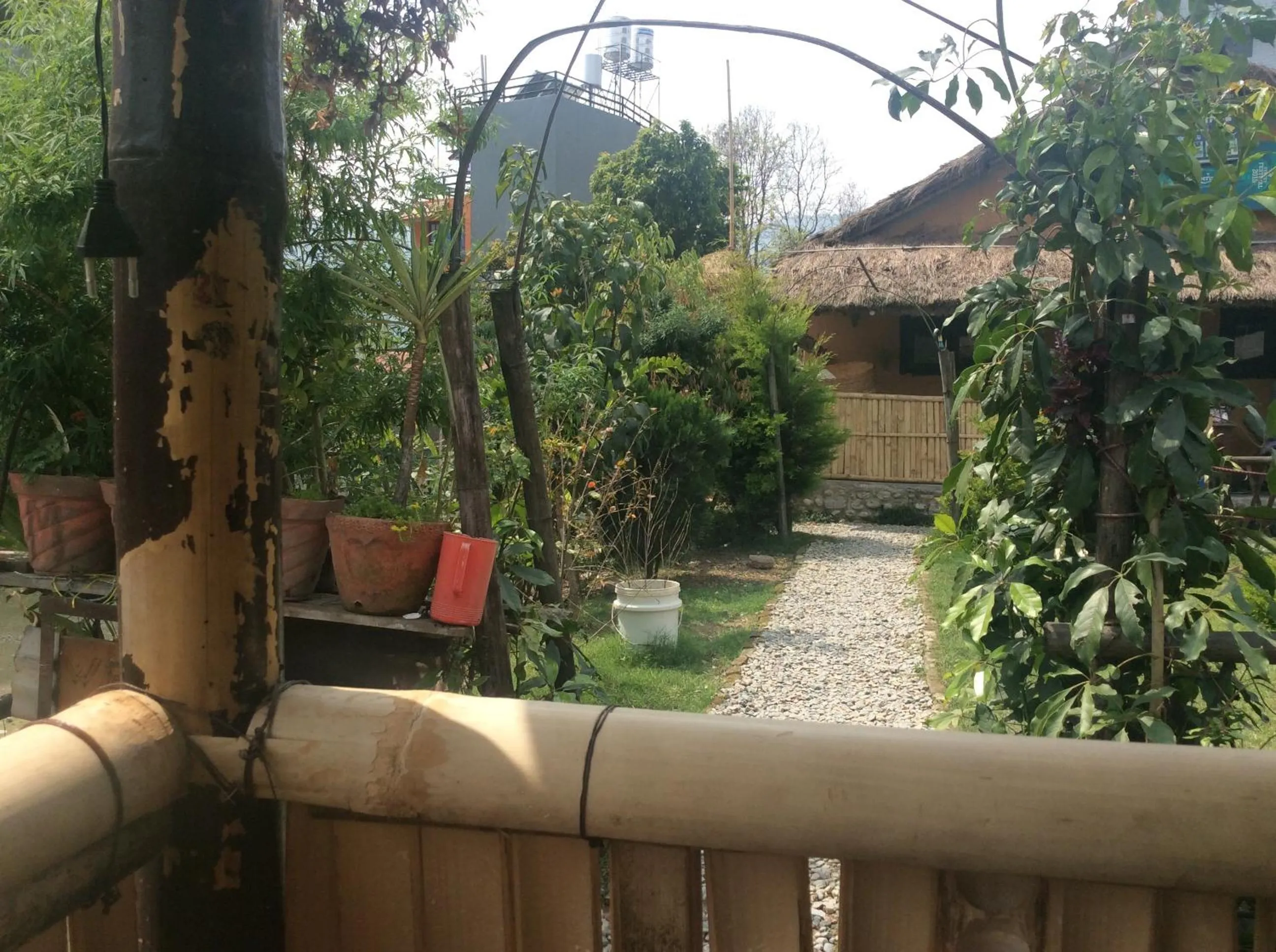 Garden in My beautiful cottage in pokhara