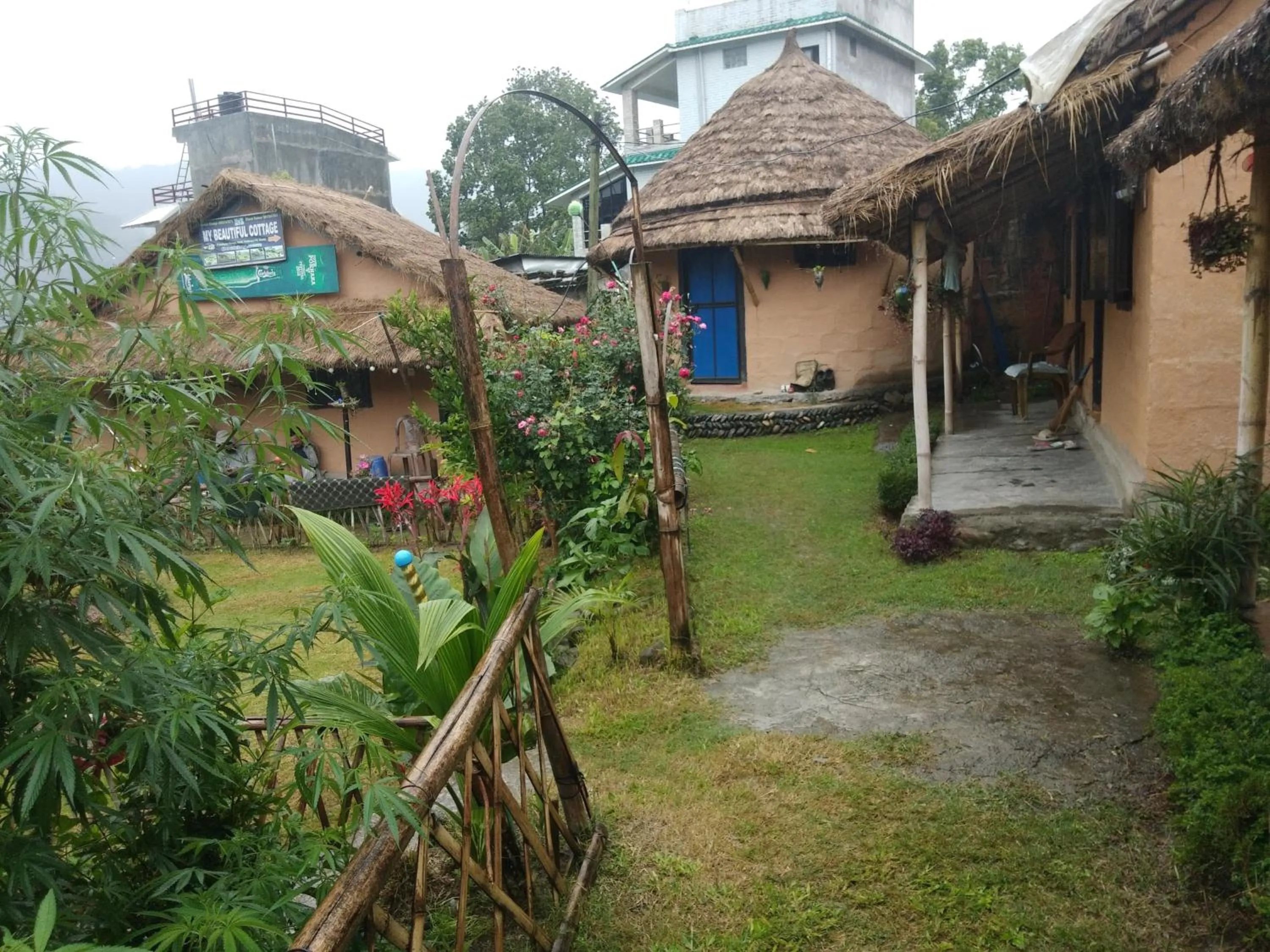 My beautiful cottage in pokhara