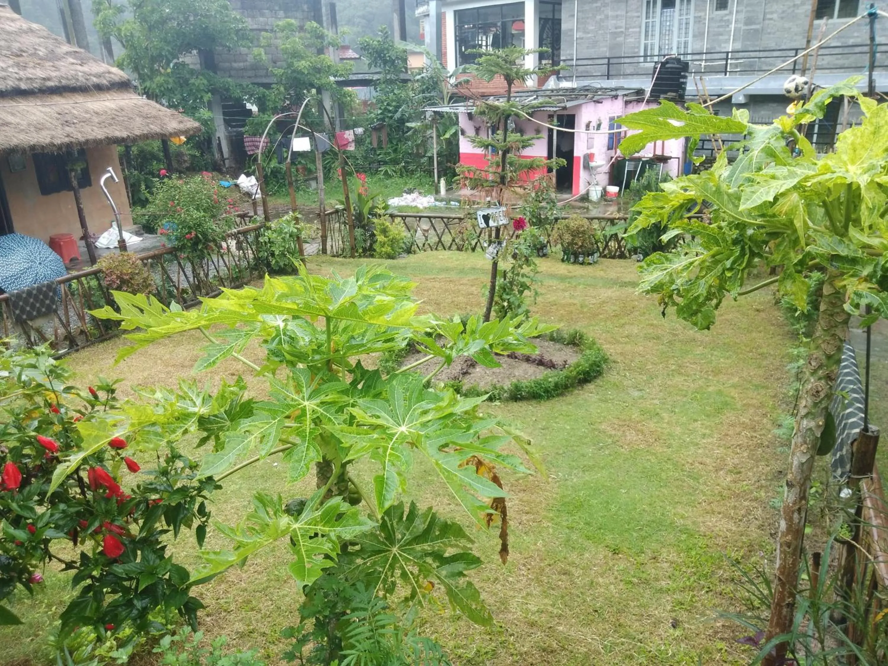 My beautiful cottage in pokhara