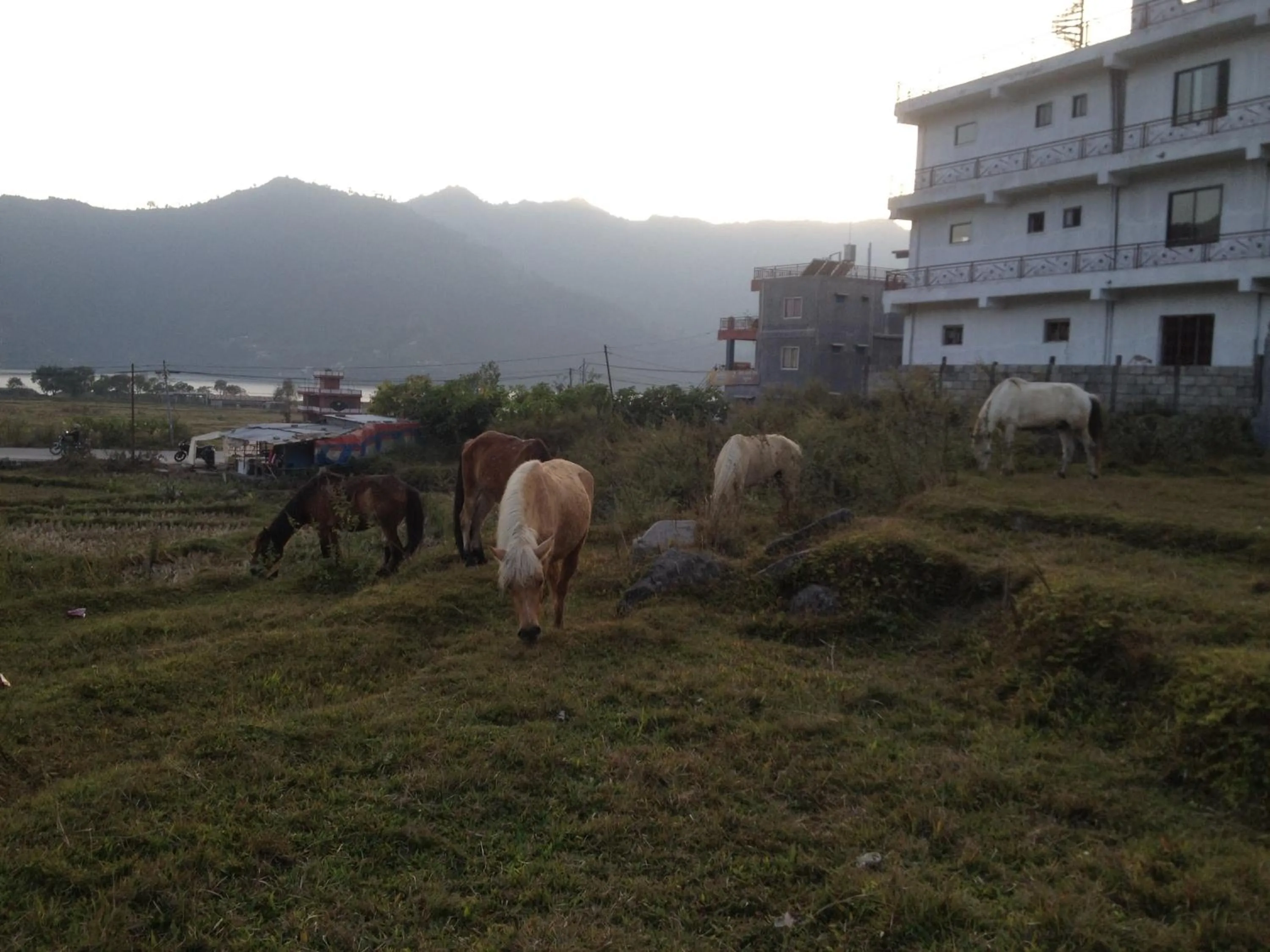 Neighbourhood in My beautiful cottage in pokhara