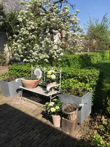 Garden in Het Ockhuis