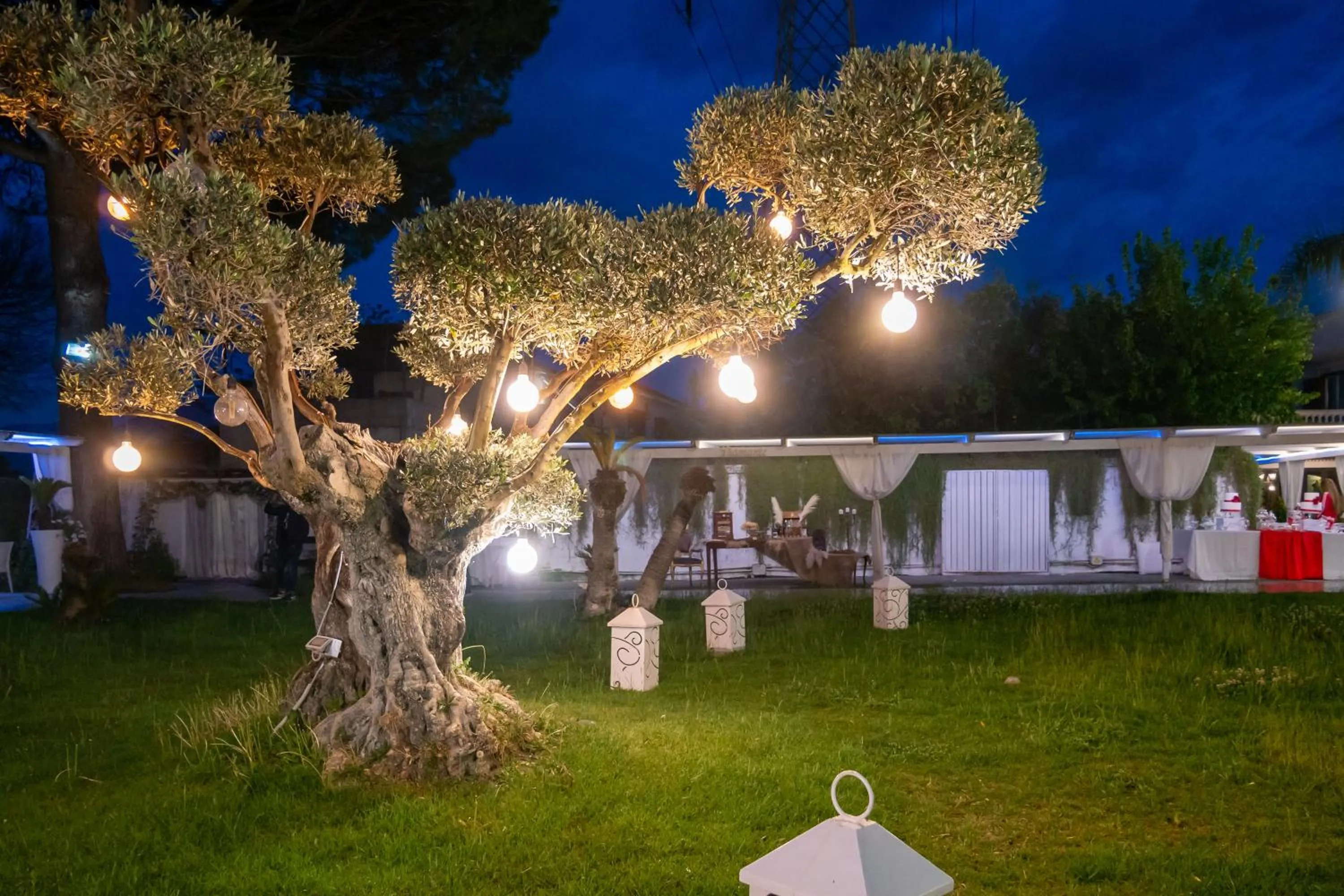 Garden in Hotel Imperiale