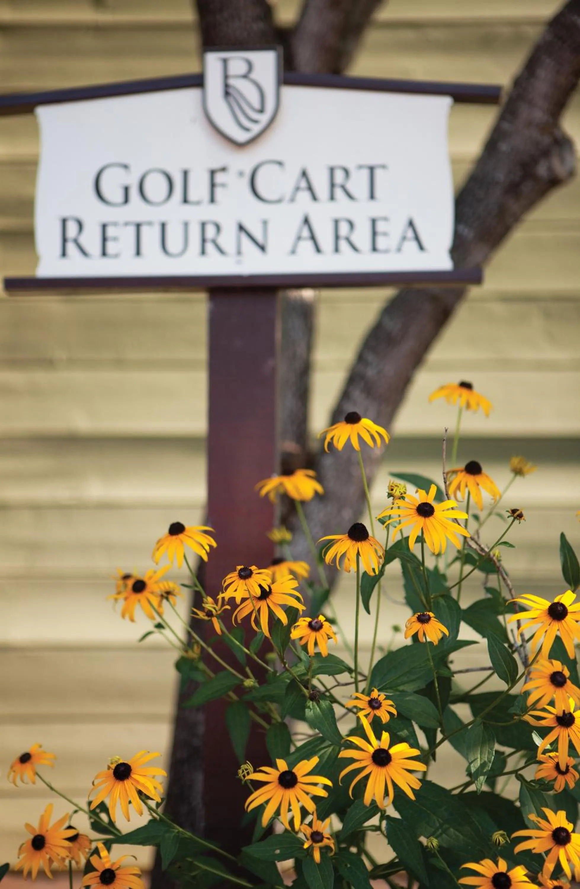 Other in Club Wyndham Resort at Fairfield Mountains