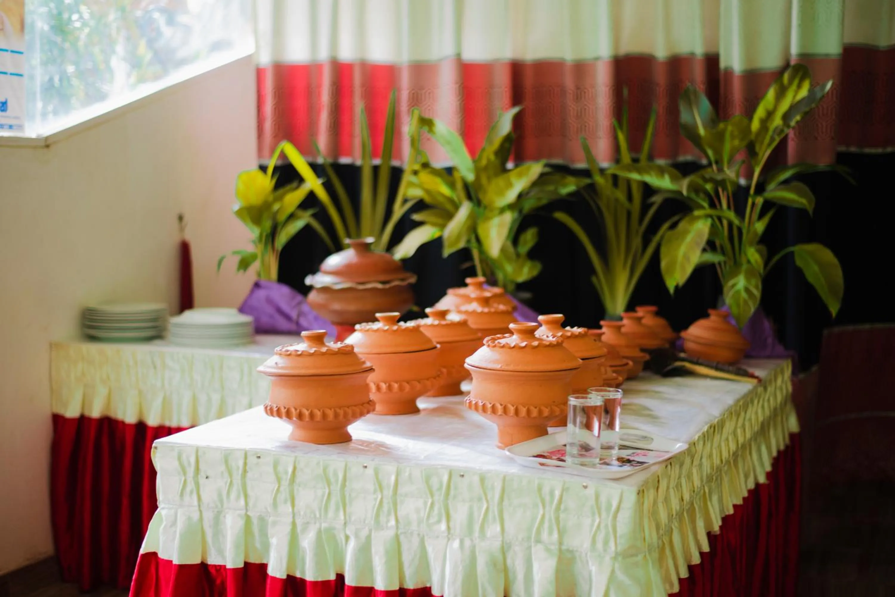 Food and drinks in Green Garden Resort