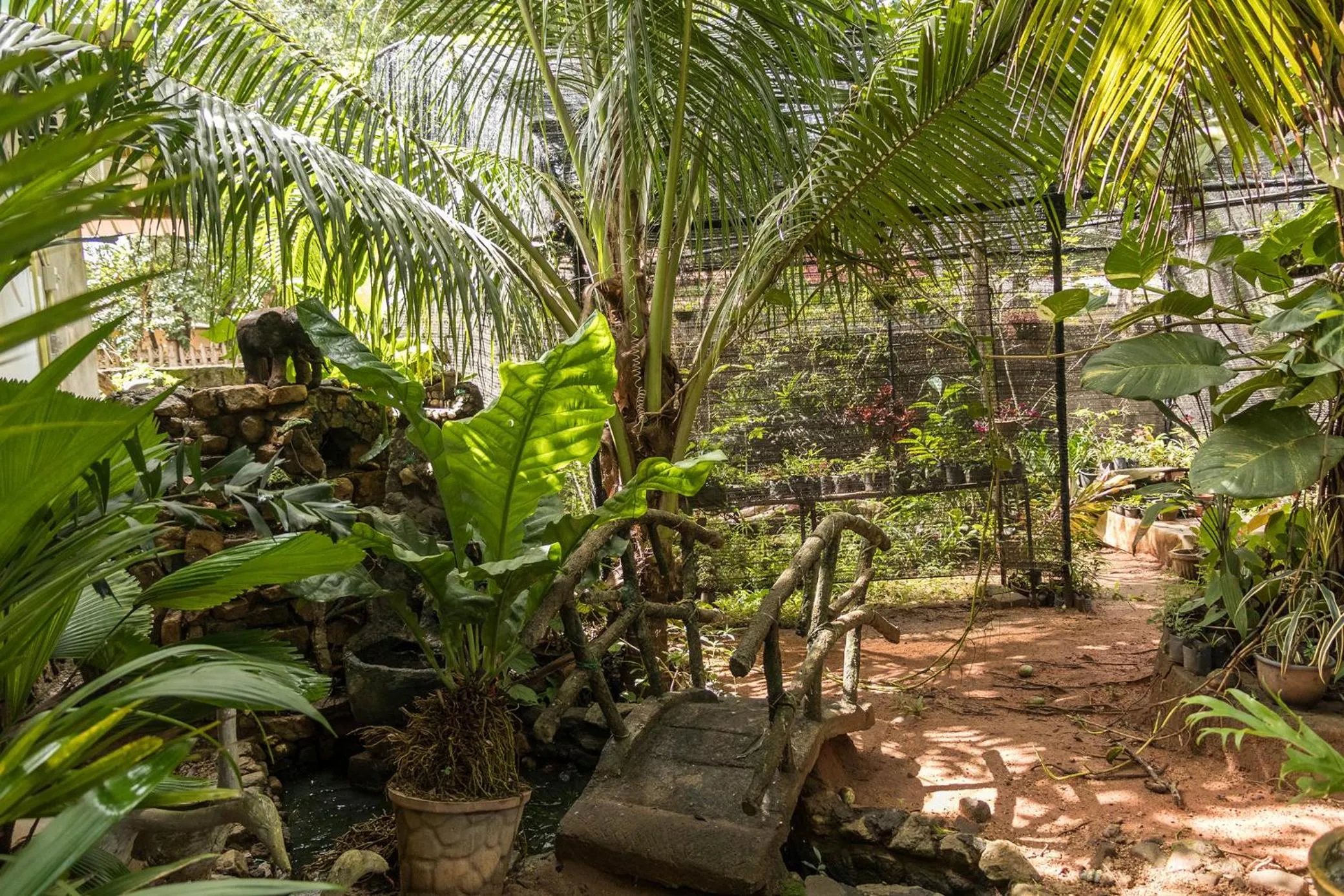 Garden view in Green Garden Resort