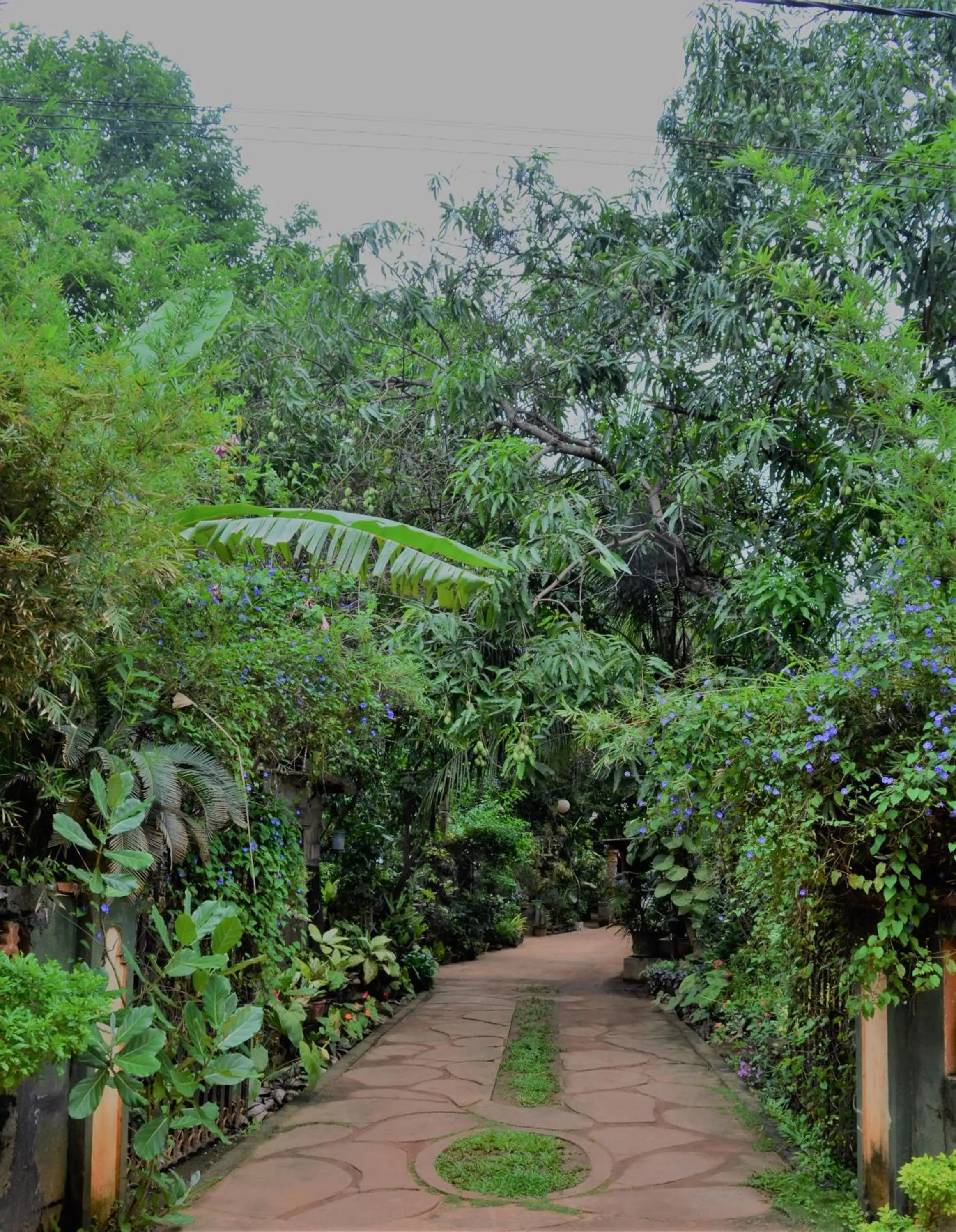 Garden view in Green Garden Resort