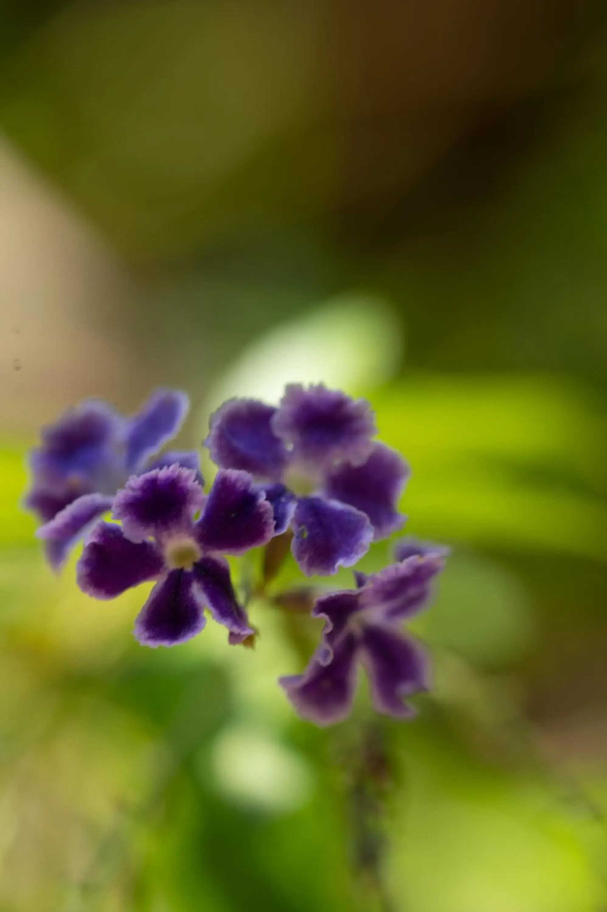 Property building in Green Garden Resort Property building in Green Garden Resort