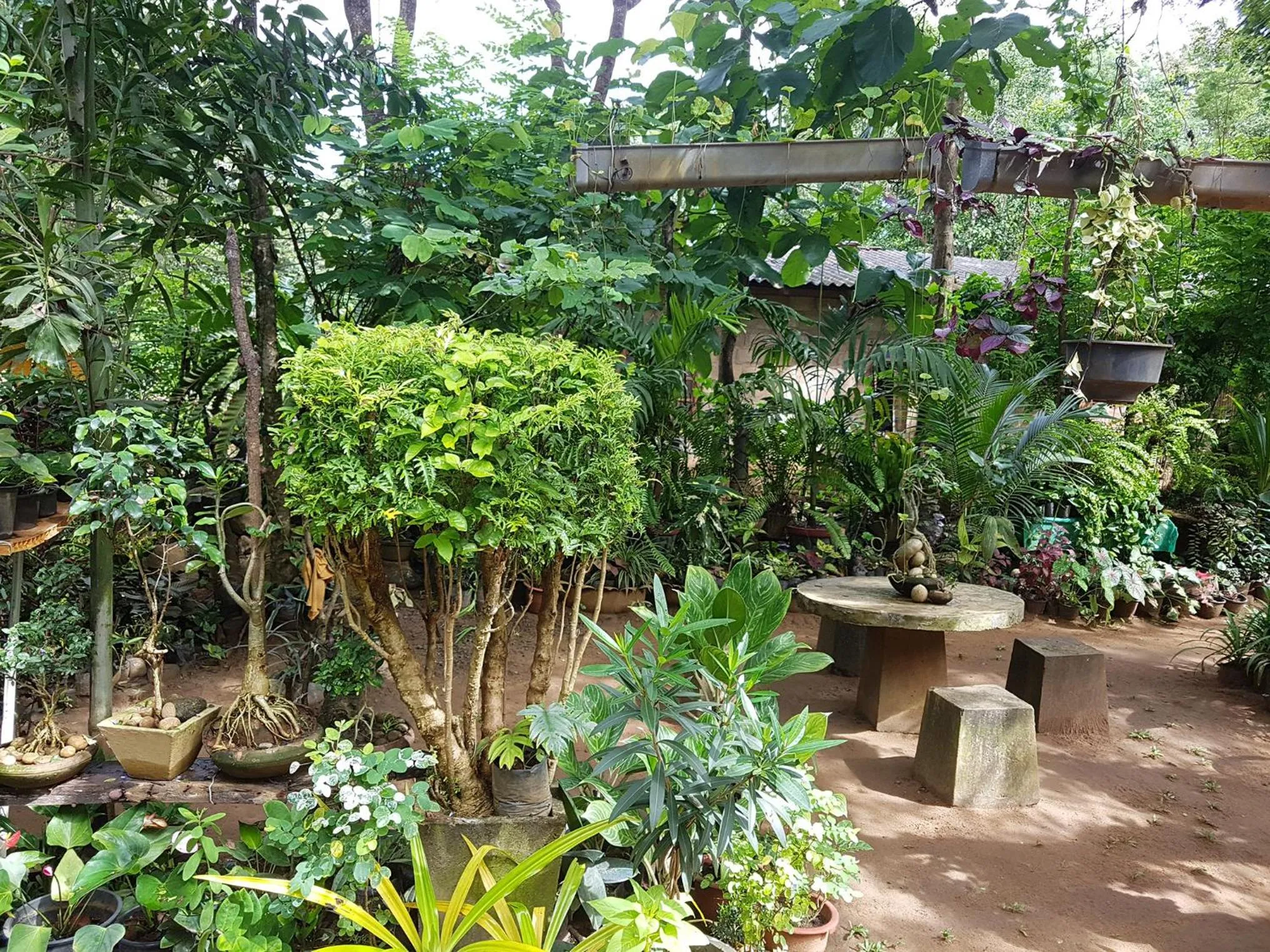 Natural landscape in Green Garden Resort