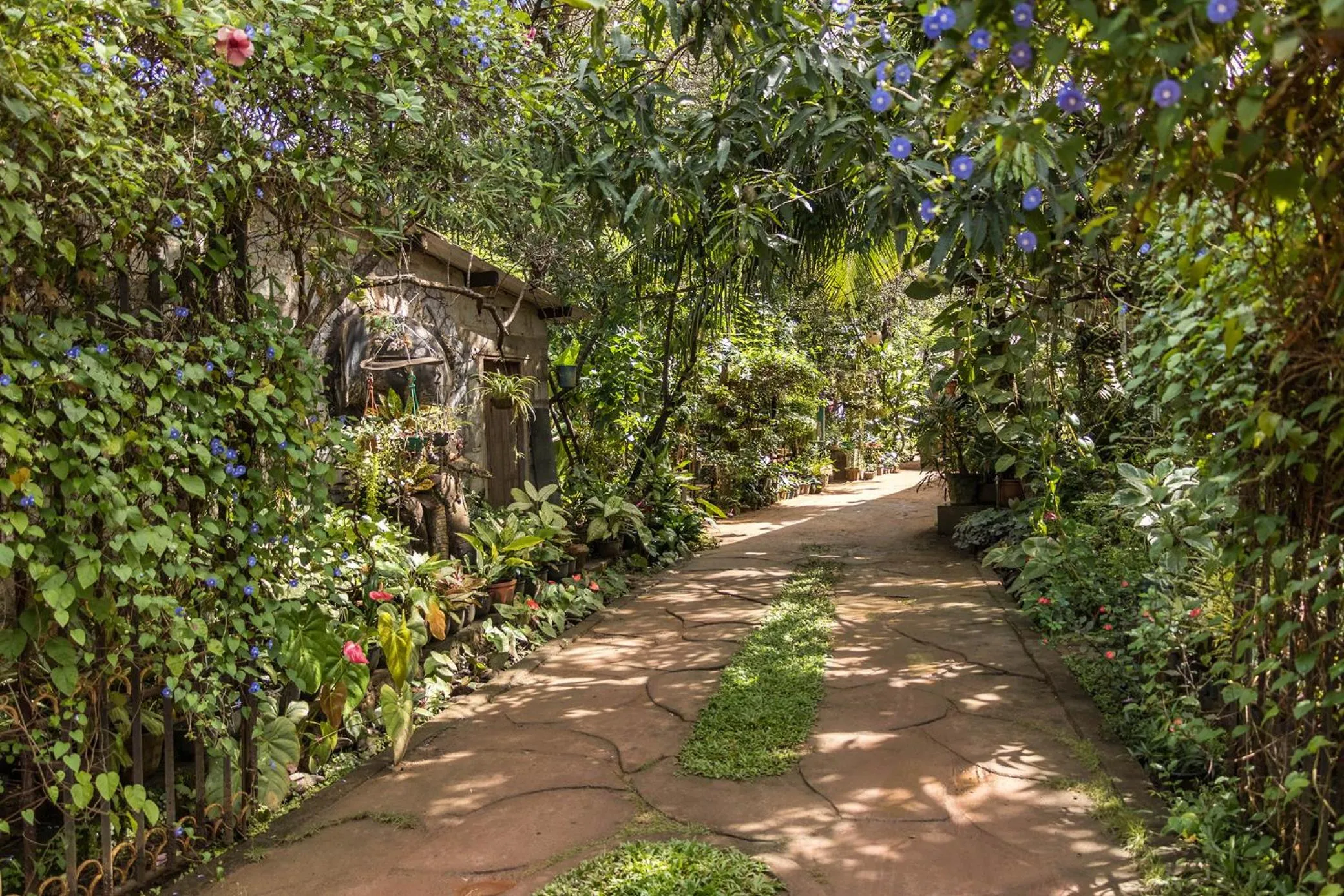 Garden in Green Garden Resort