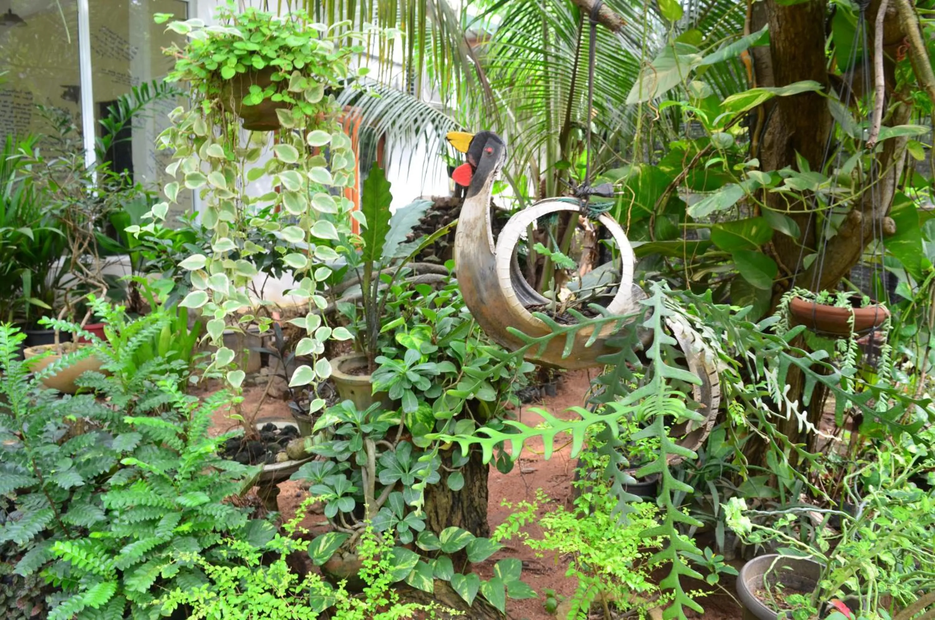 Natural landscape in Green Garden Resort