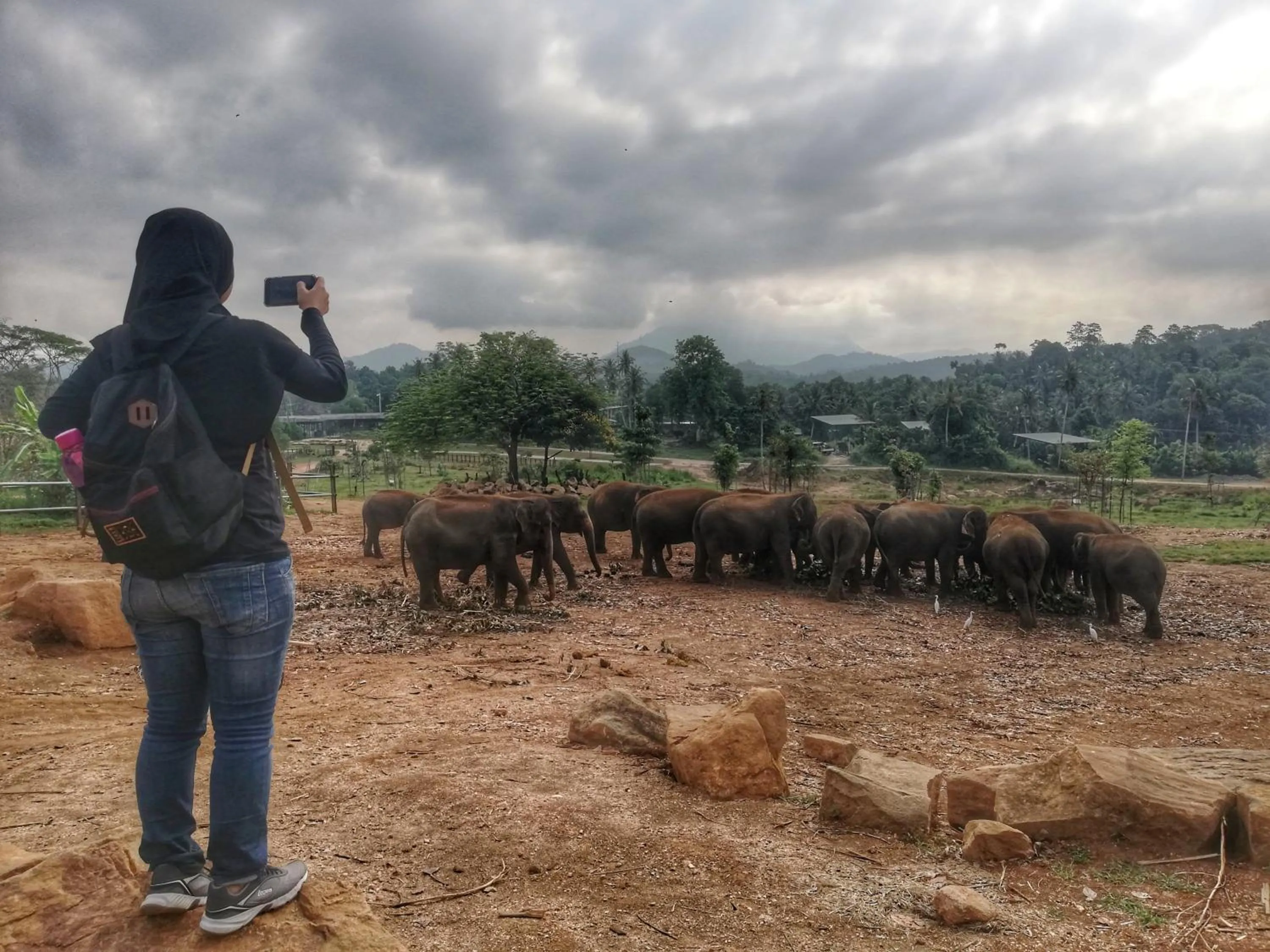 Natural landscape in Green Garden Resort