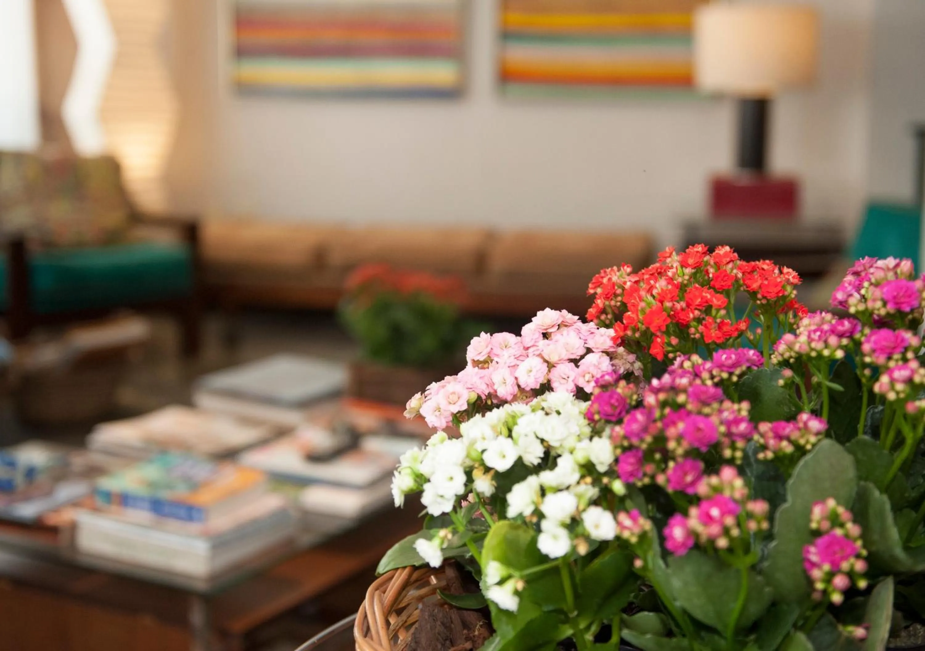 Living room in Novo Hamburgo Business Hotel