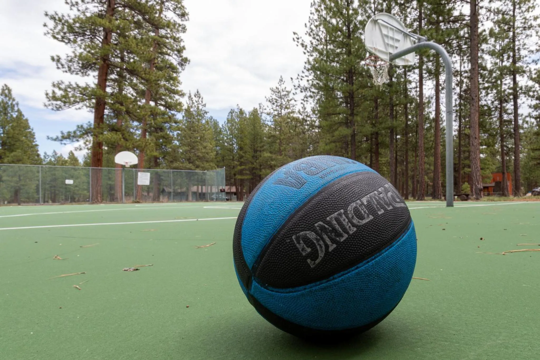 Property building in The Sisters Moose