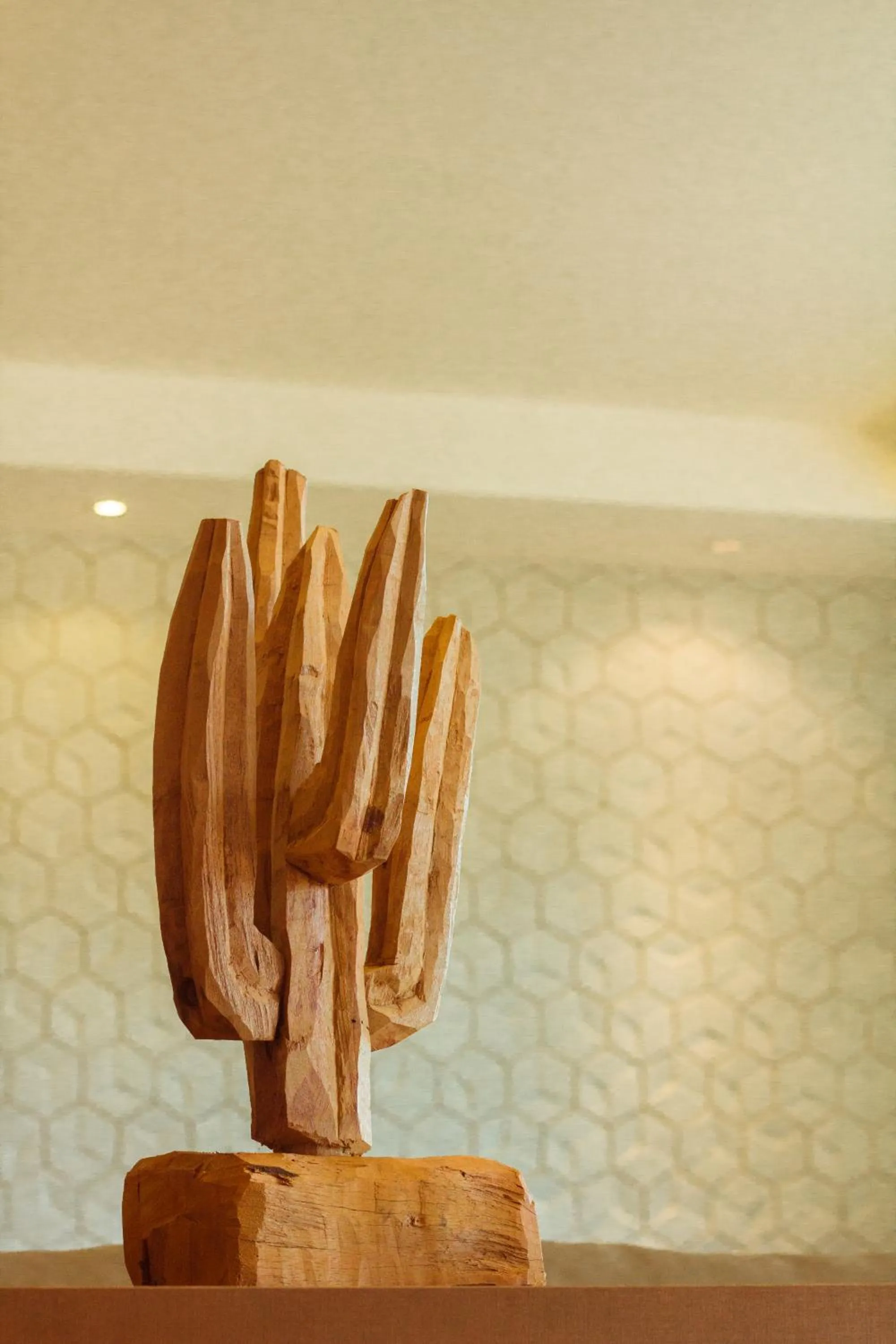 Decorative detail in Caruaru Park Hotel