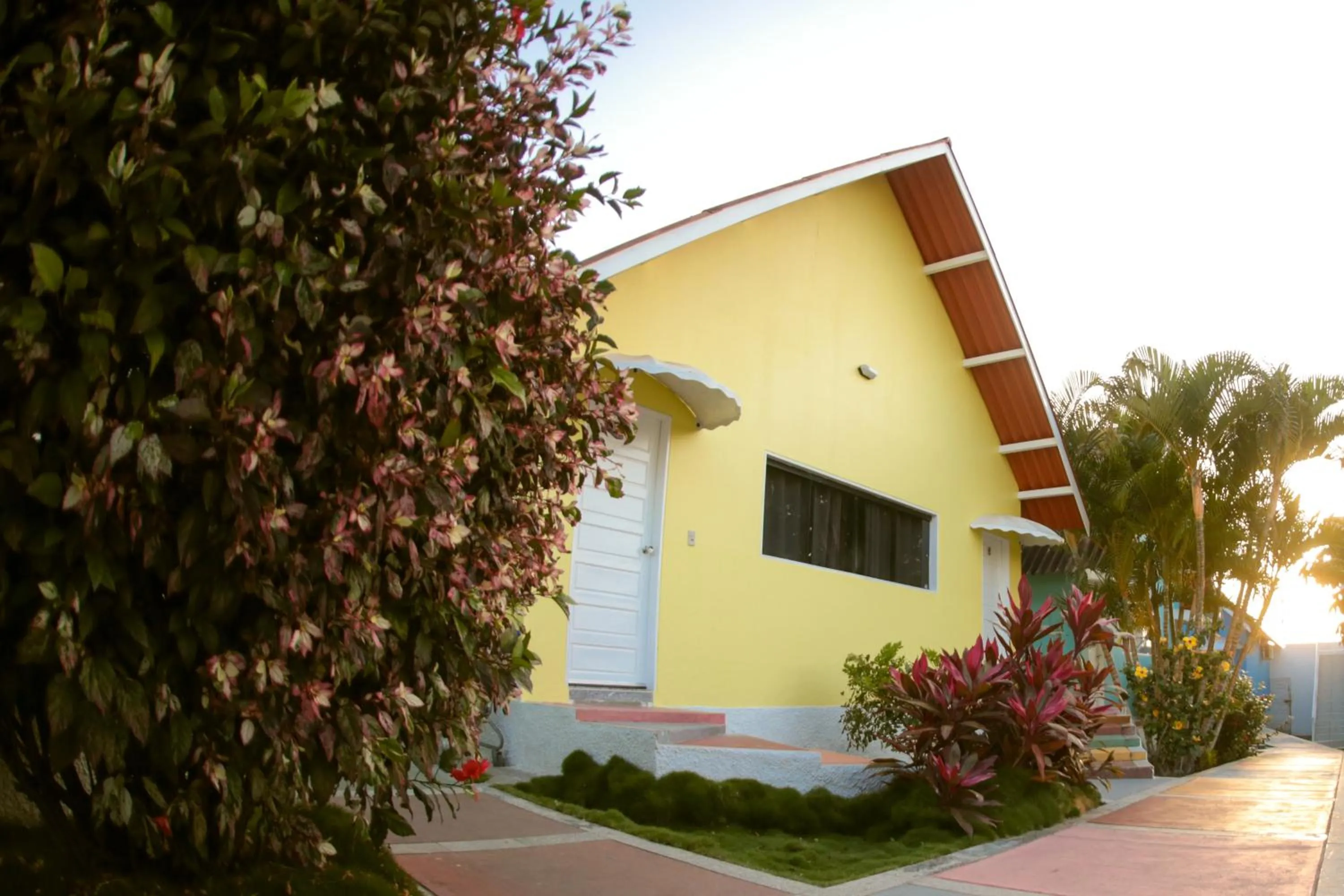 Garden view in Caruaru Park Hotel