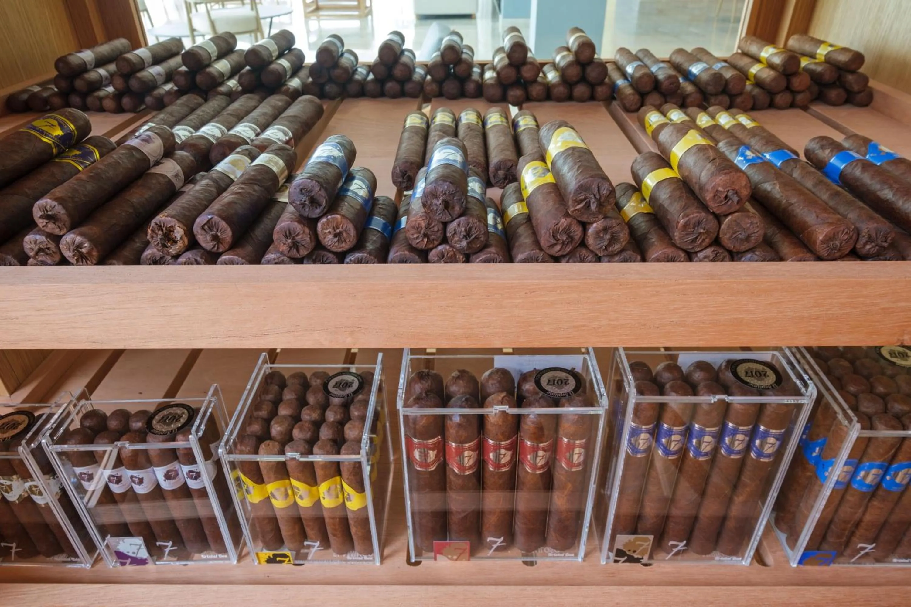 Activities in Malibu Foz Hotel - La Maison Younan