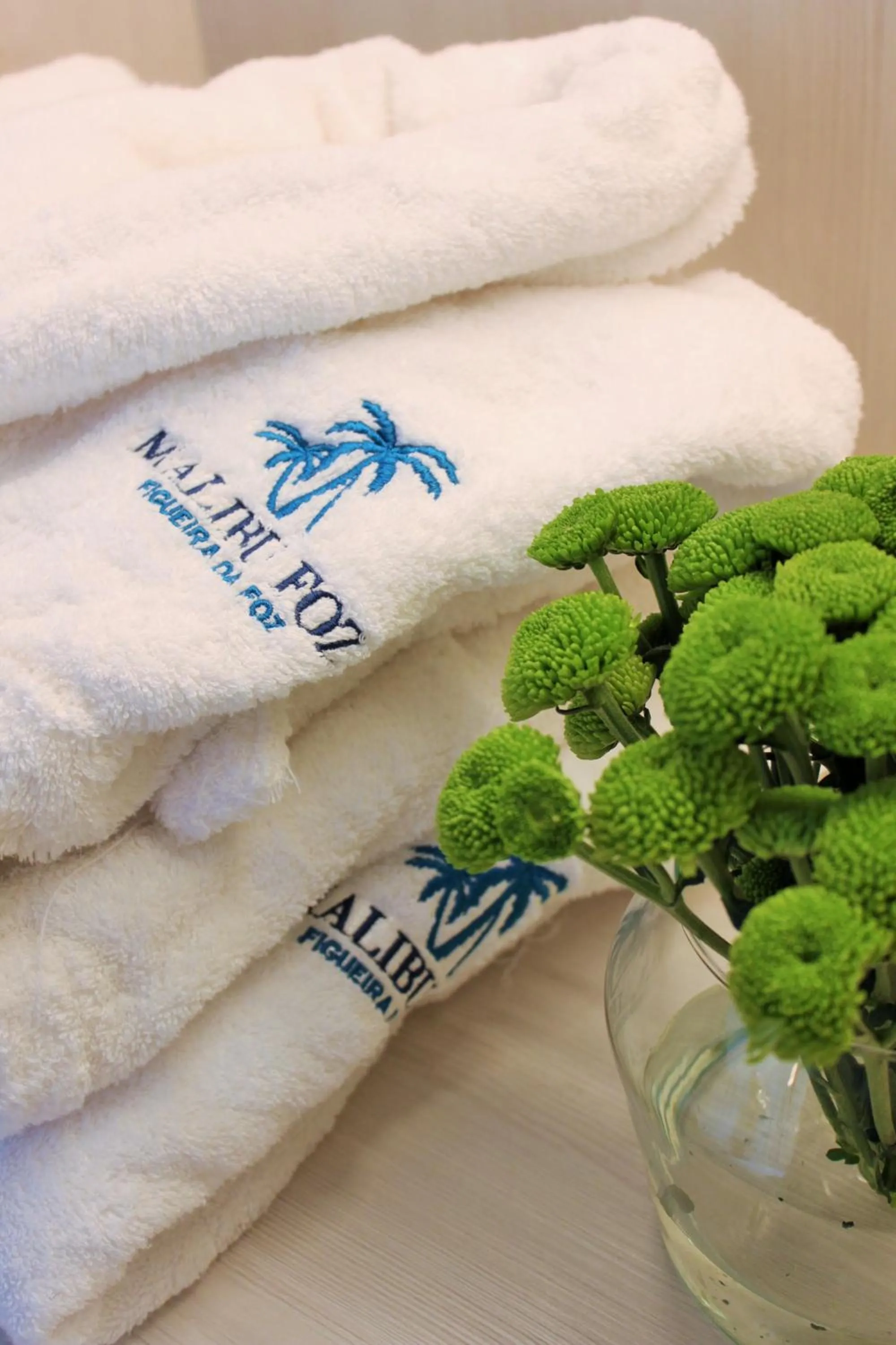 Property logo or sign in Malibu Foz Hotel - La Maison Younan