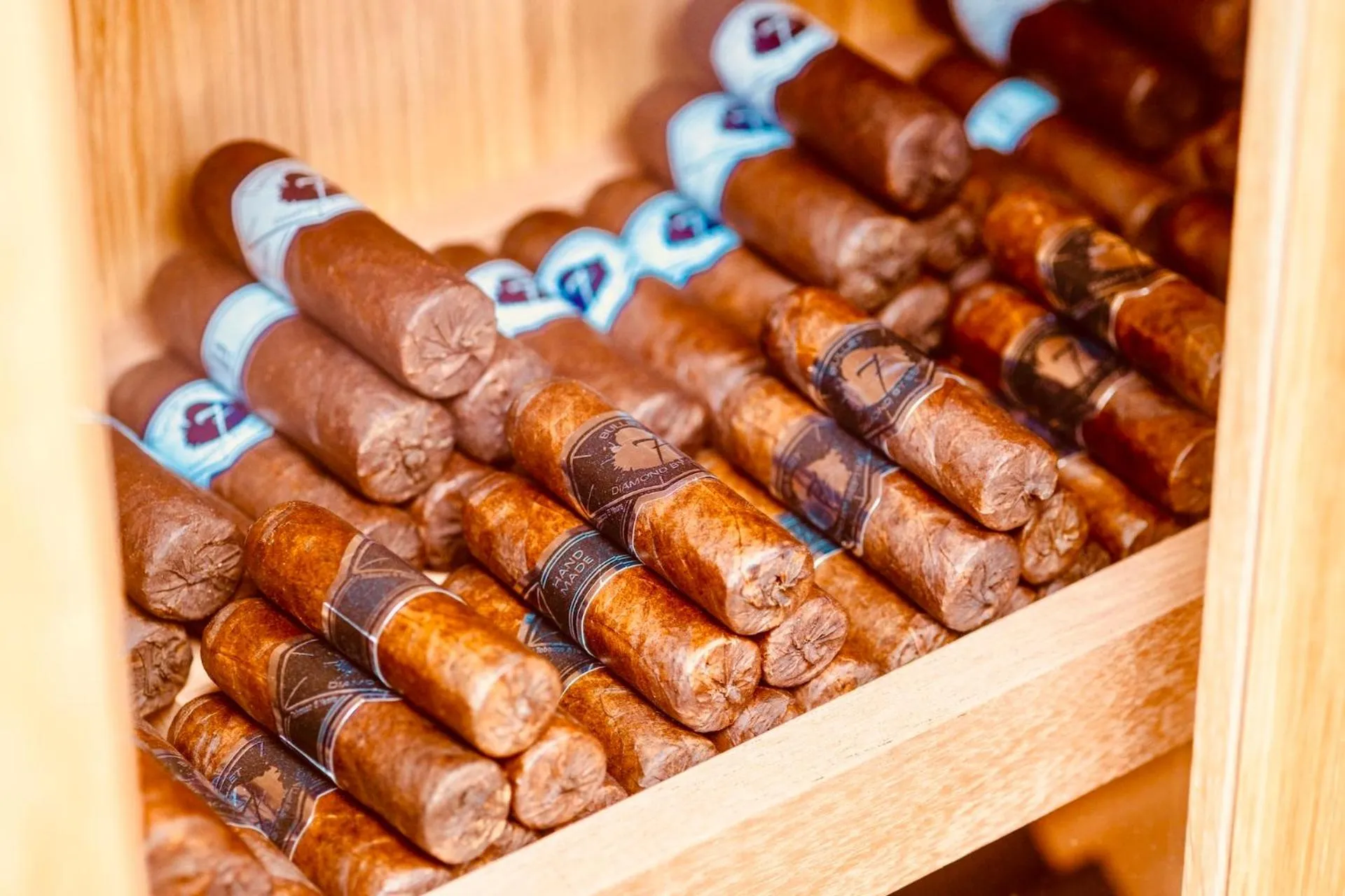 Activities in Malibu Foz Hotel - La Maison Younan