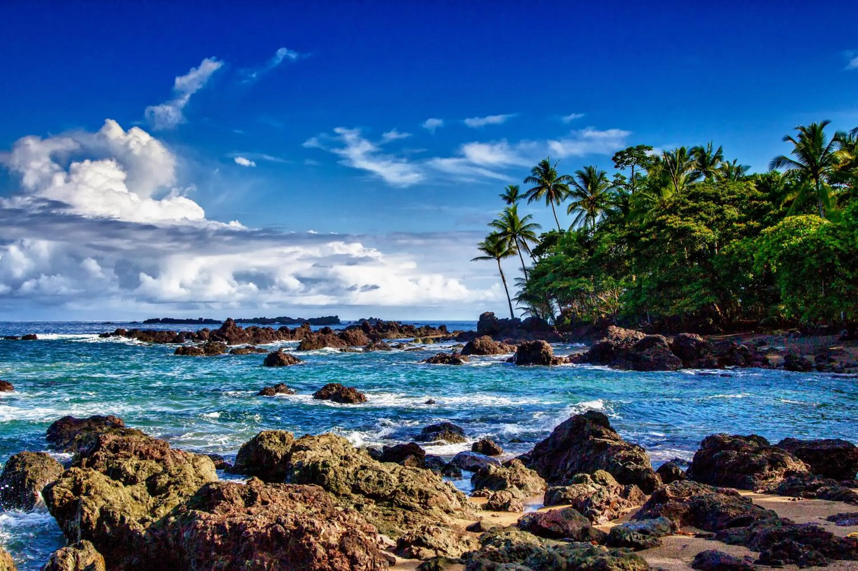 Natural landscape in Aguila de Osa Rainforest Lodge