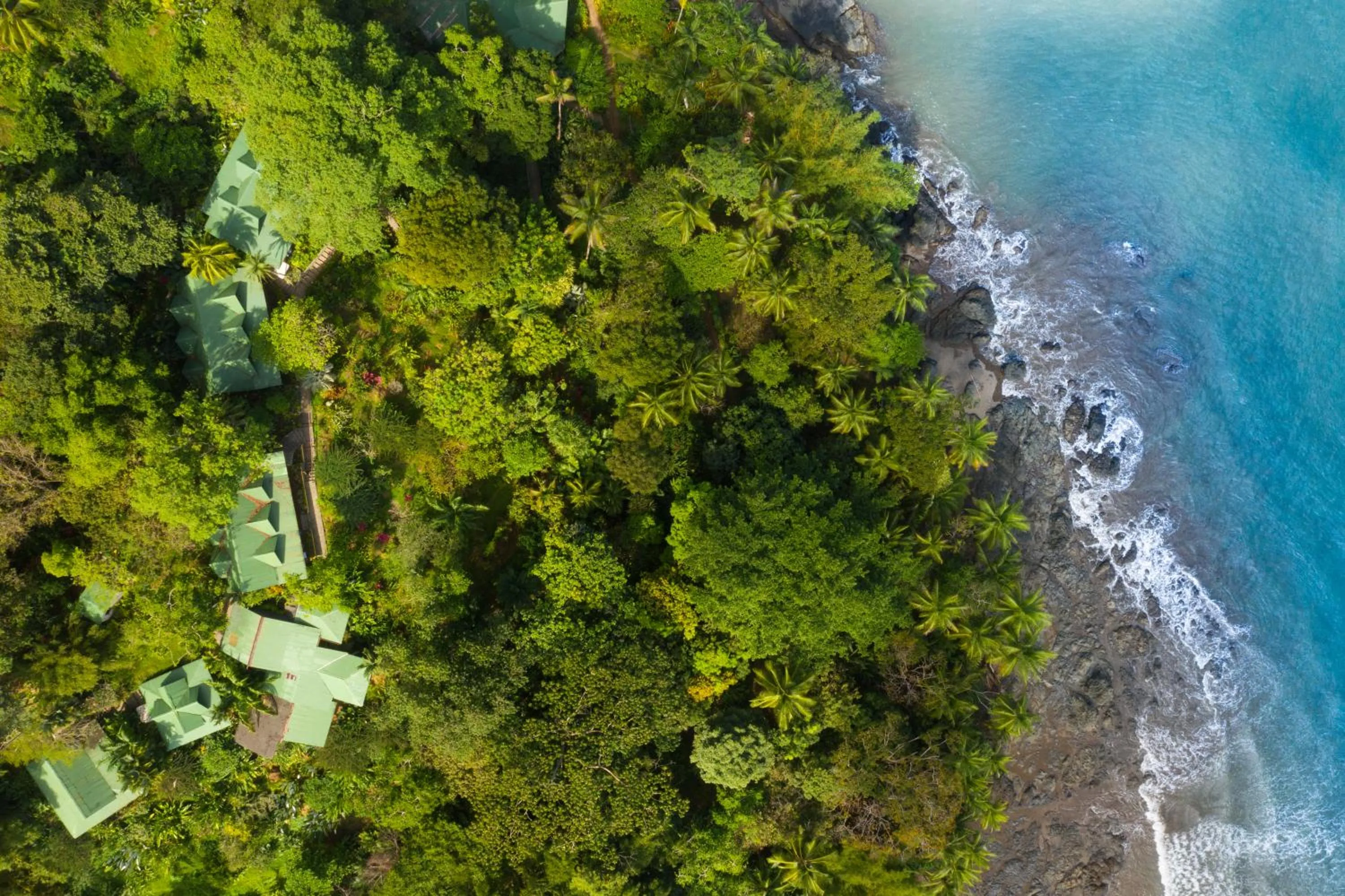 Natural landscape in Aguila de Osa Rainforest Lodge