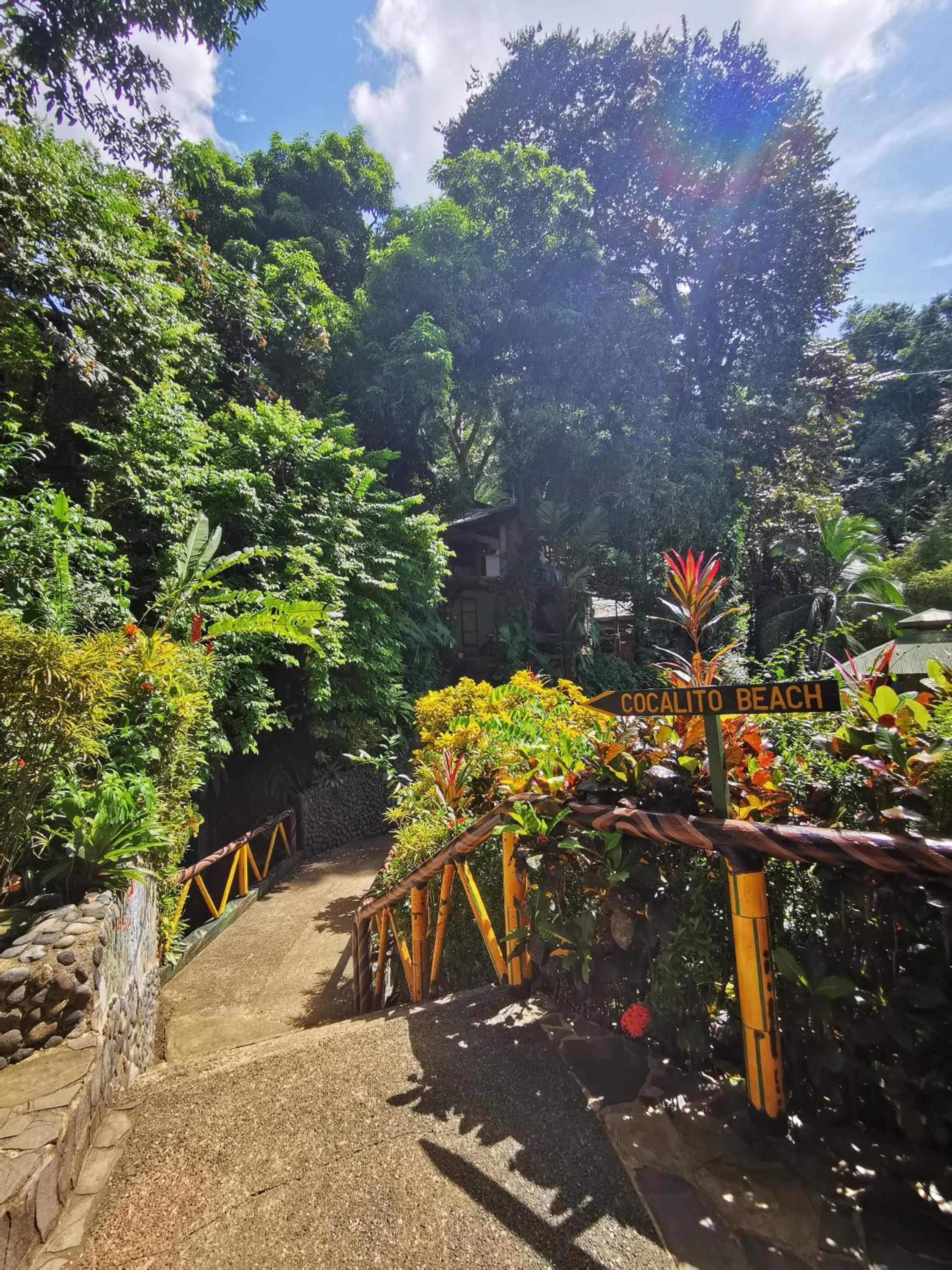 Natural landscape in Aguila de Osa Rainforest Lodge