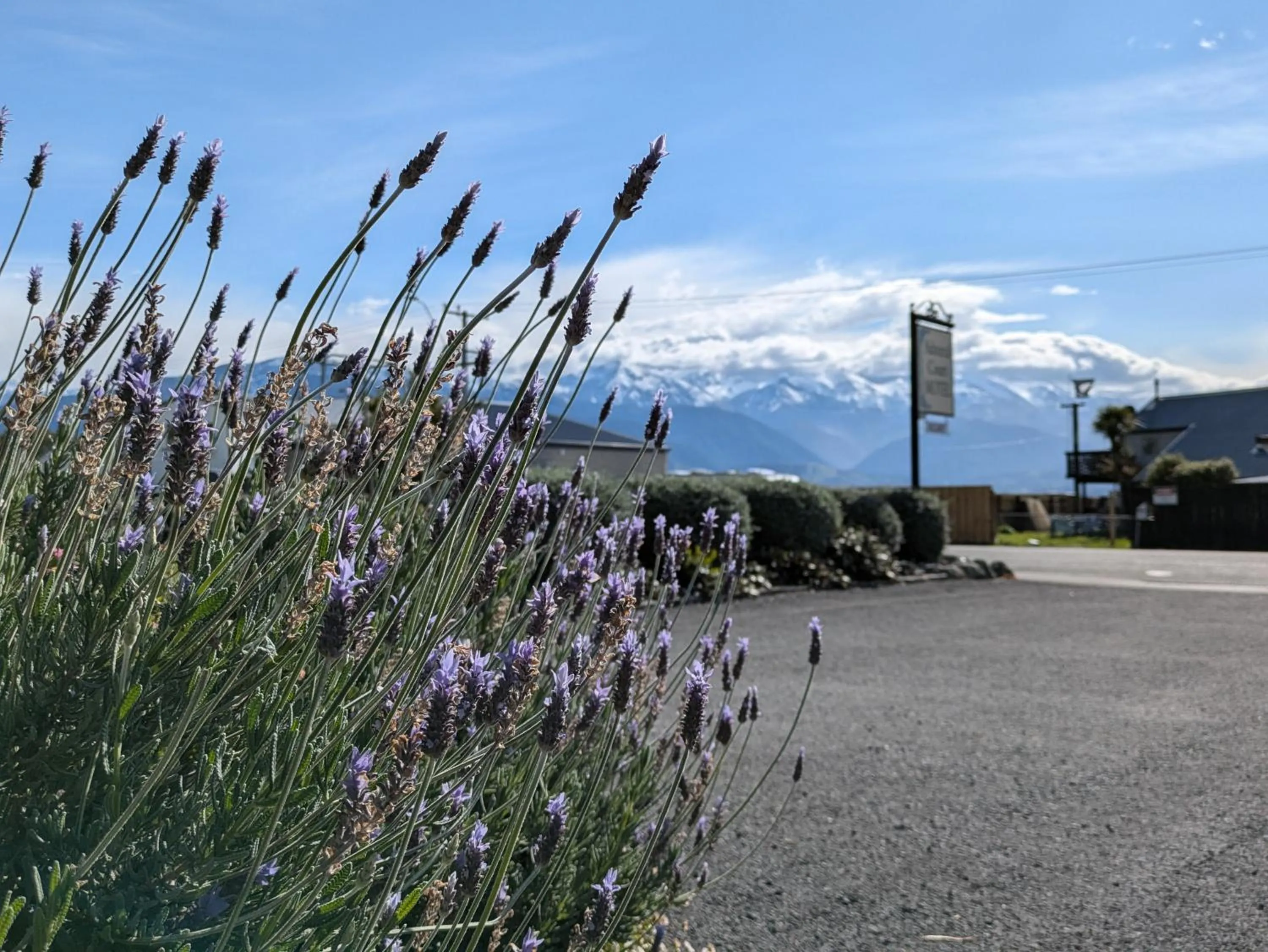 Natural landscape in The Peninsula Kaikoura