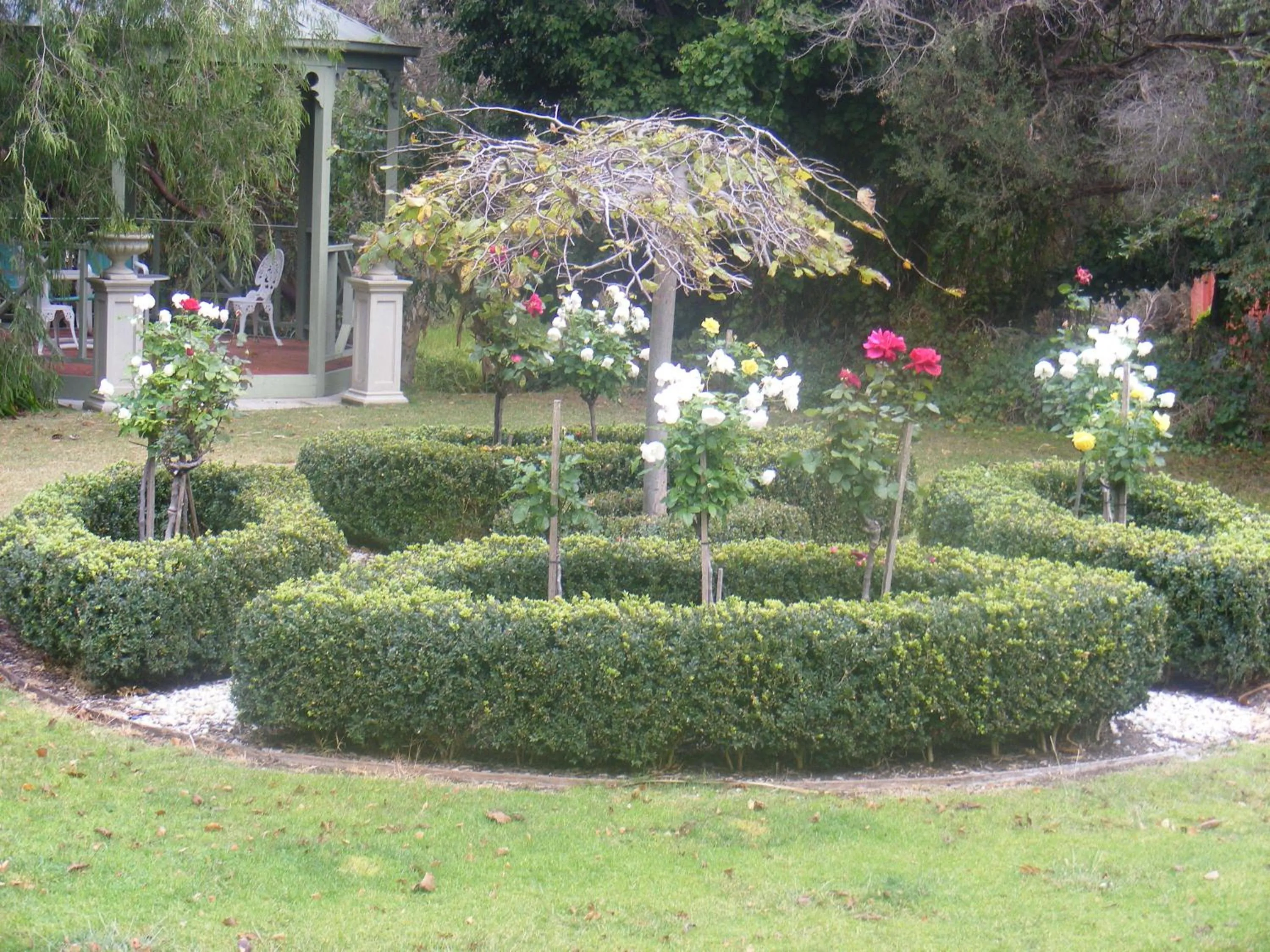 Garden in Weeroona Bed And Breakfast
