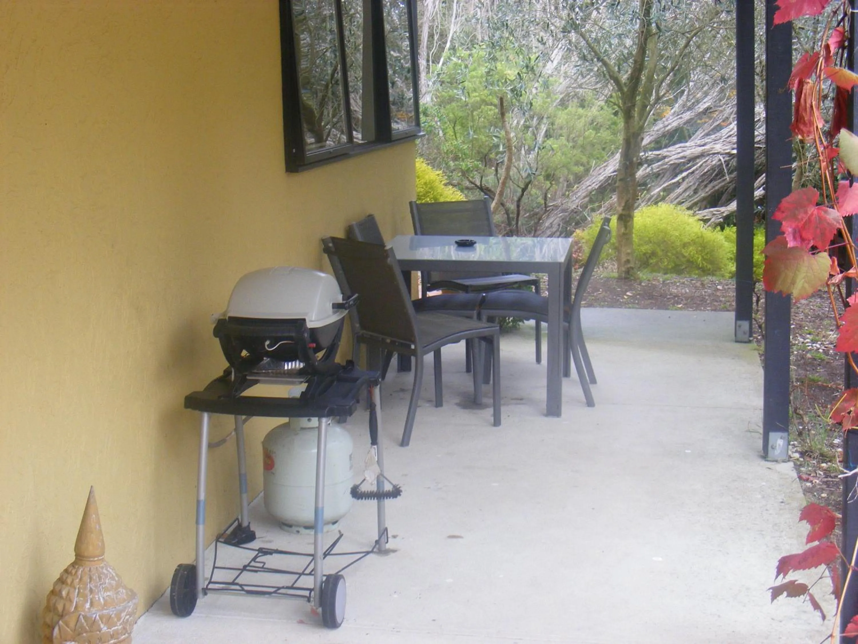 Balcony/Terrace in Weeroona Bed And Breakfast