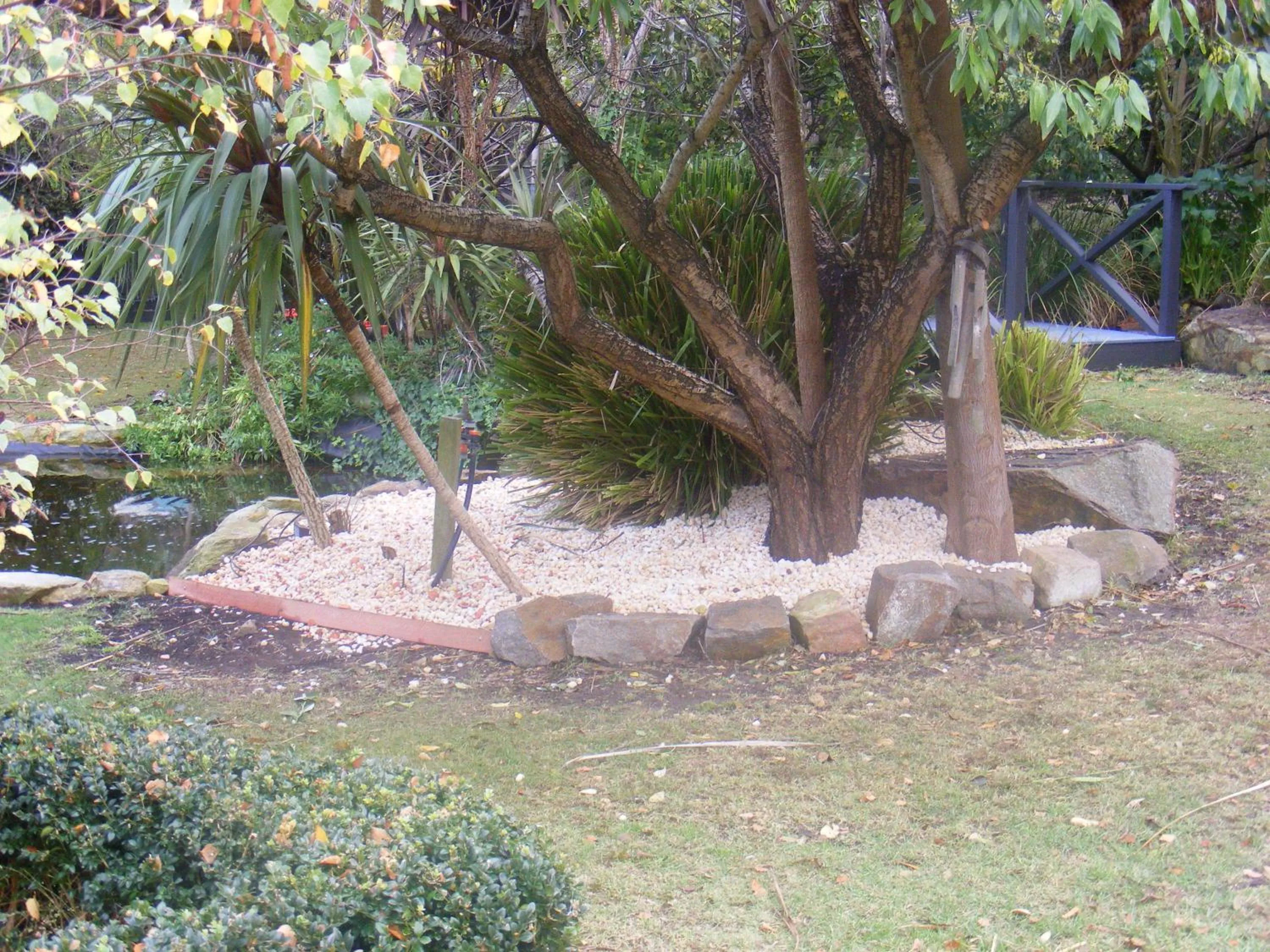 Garden in Weeroona Bed And Breakfast