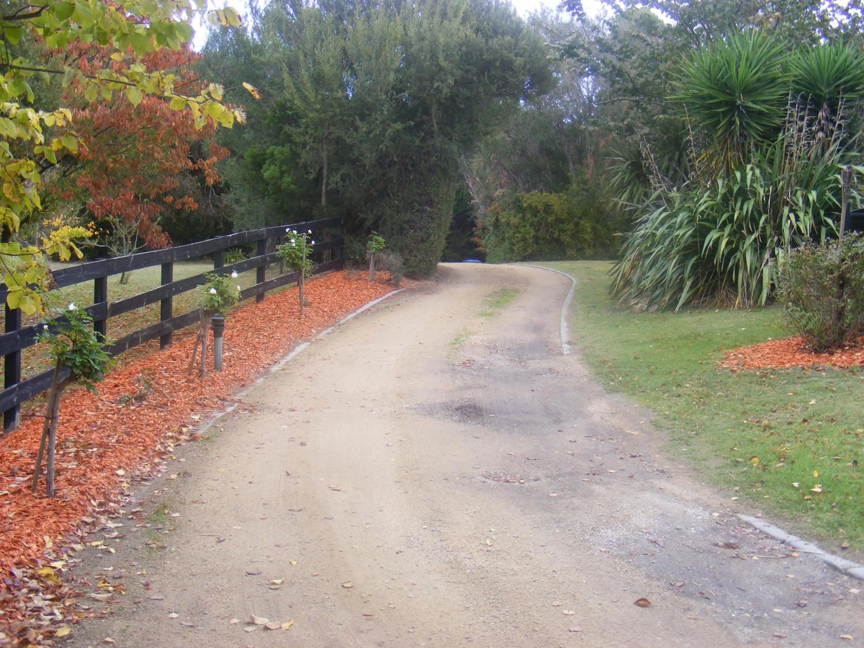 Garden in Weeroona Bed And Breakfast