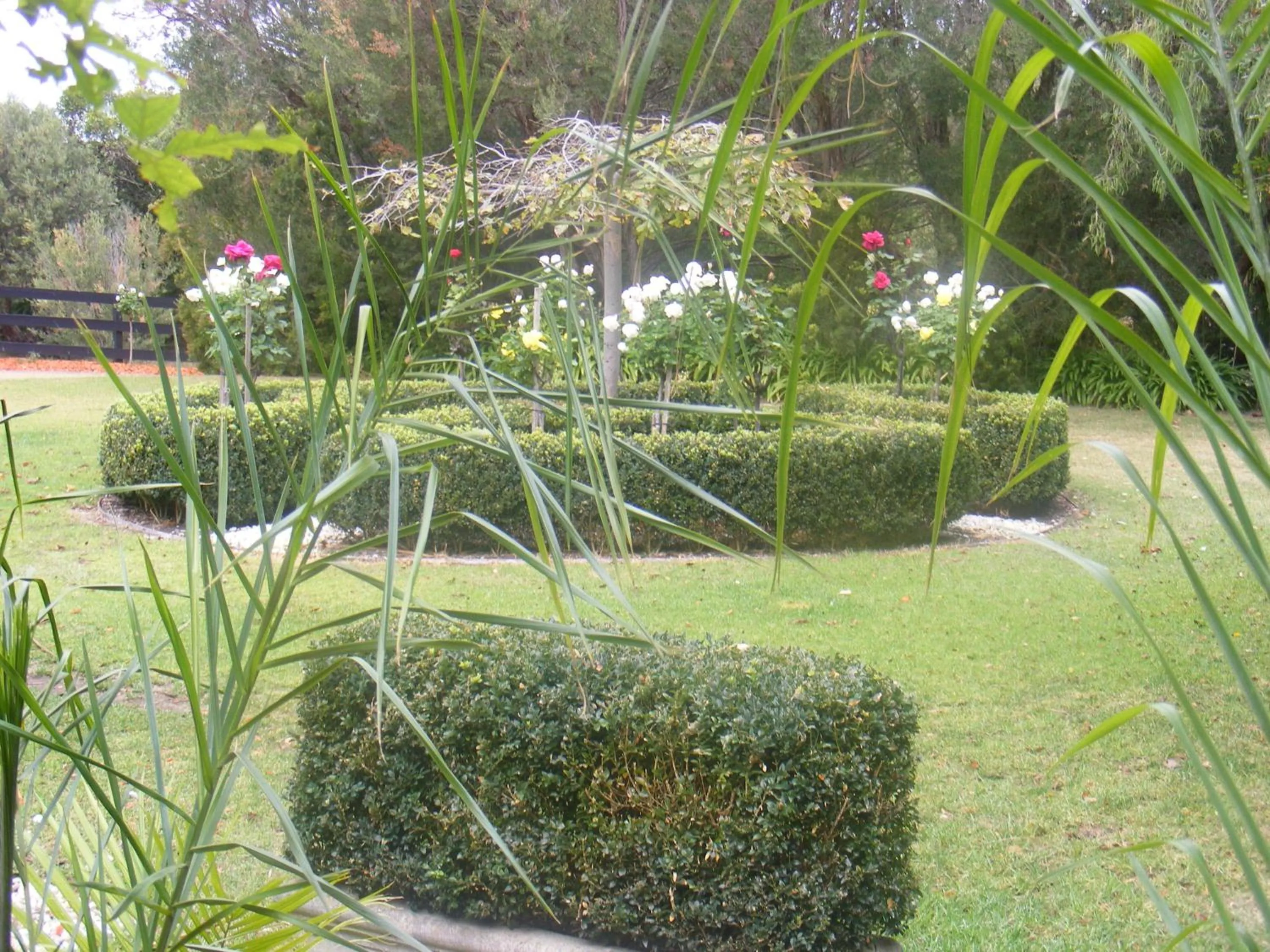 Garden in Weeroona Bed And Breakfast