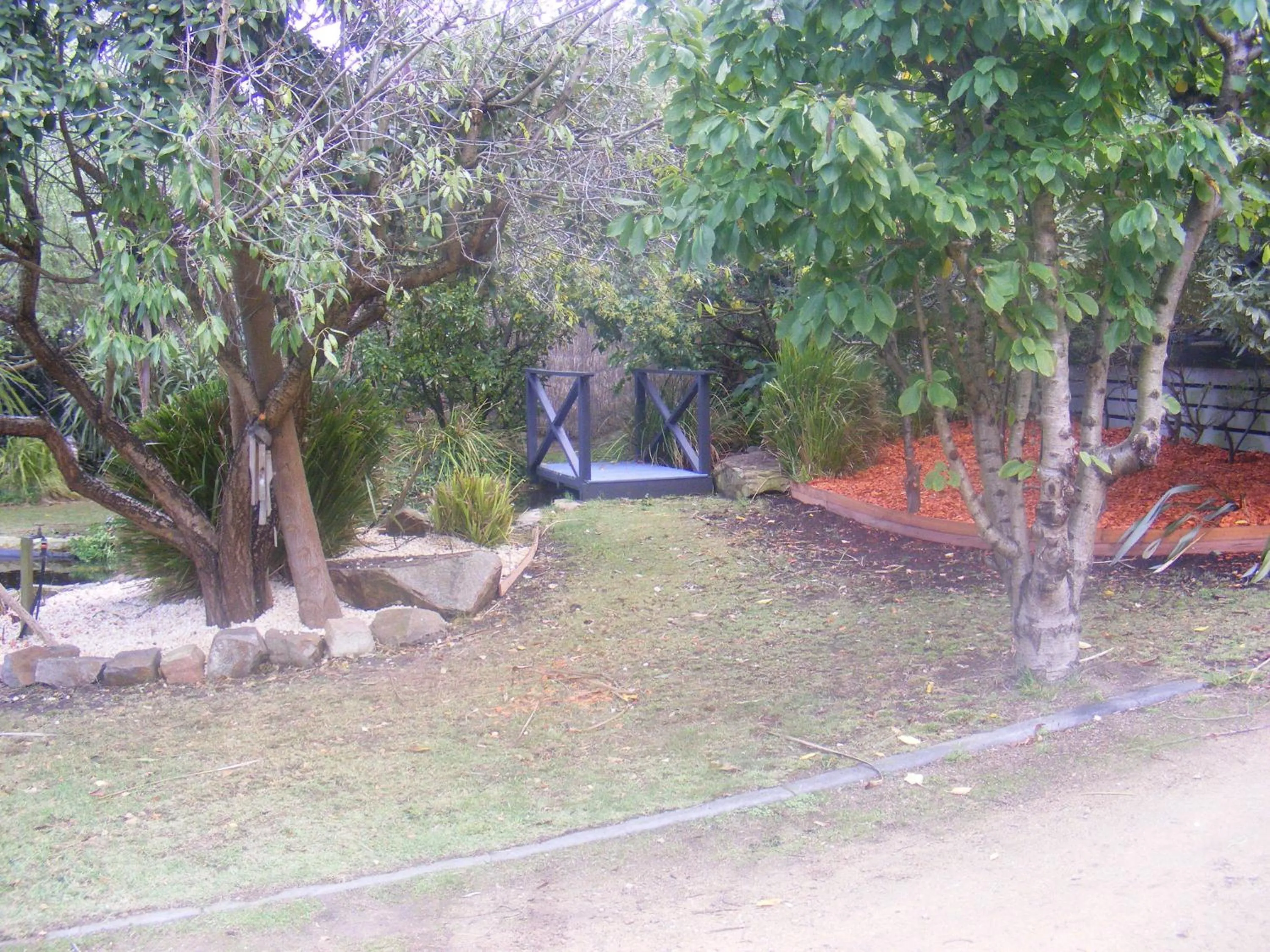 Garden view in Weeroona Bed And Breakfast