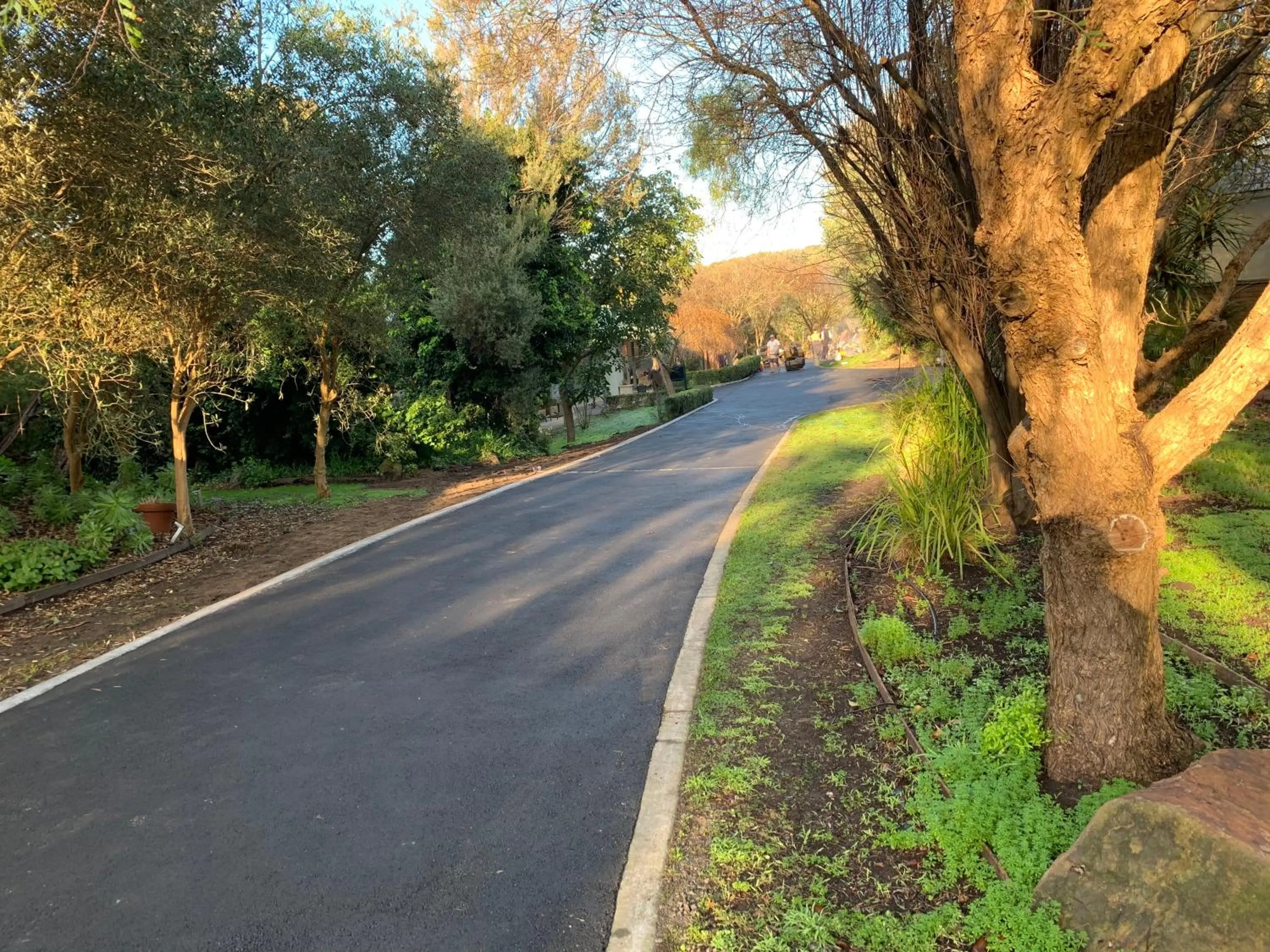 Other in Weeroona Bed And Breakfast