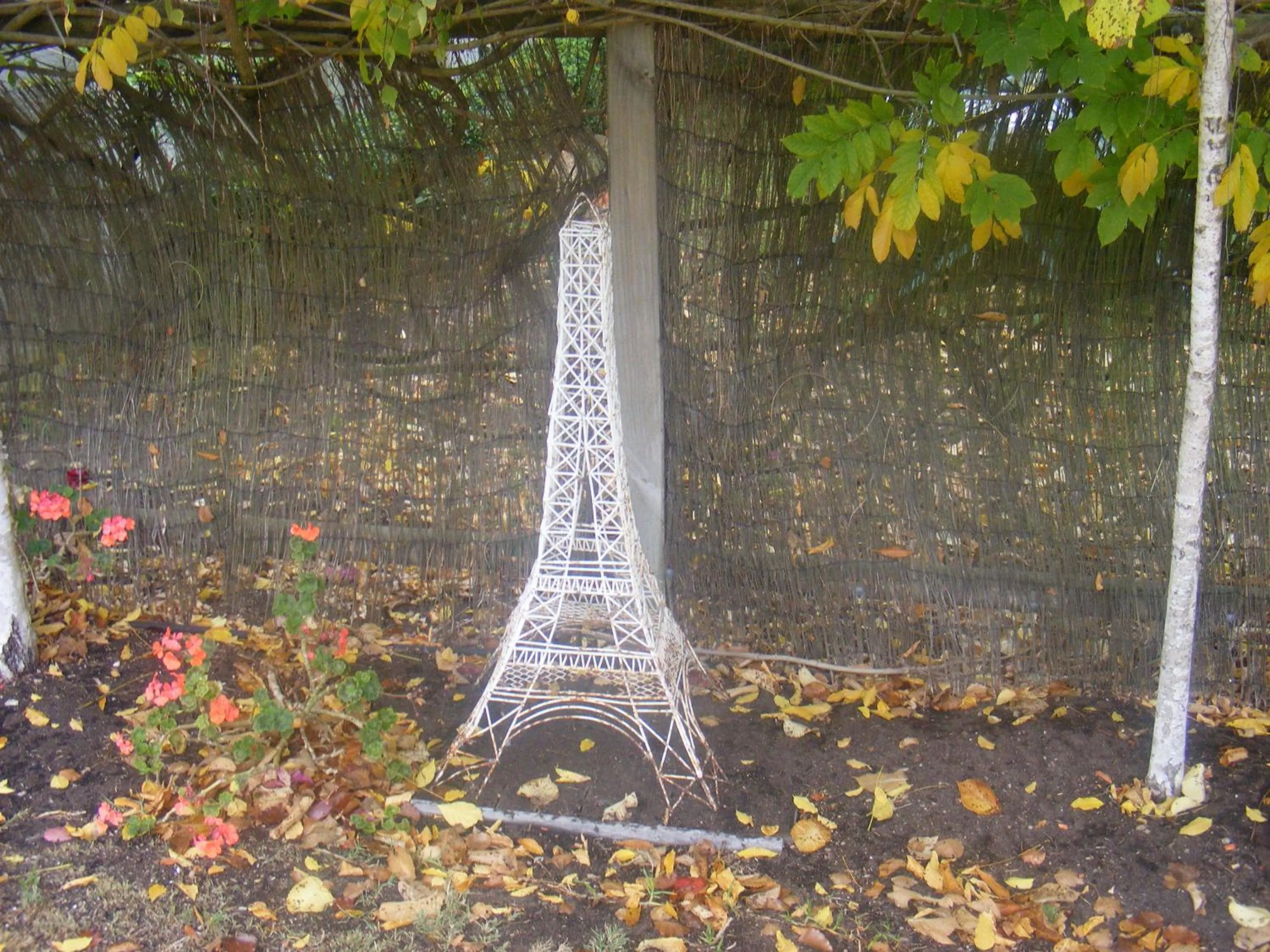 Garden in Weeroona Bed And Breakfast