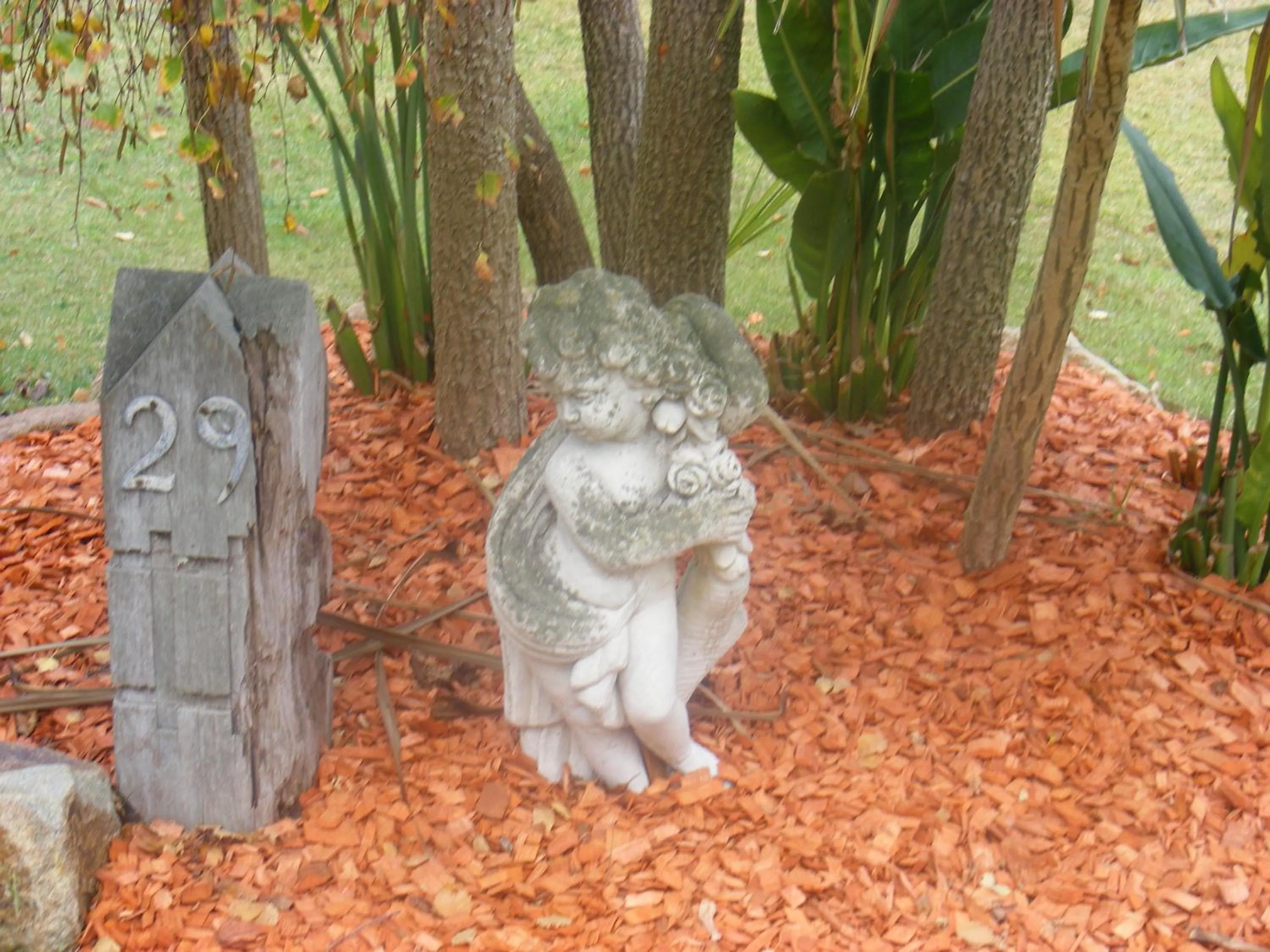 Garden in Weeroona Bed And Breakfast