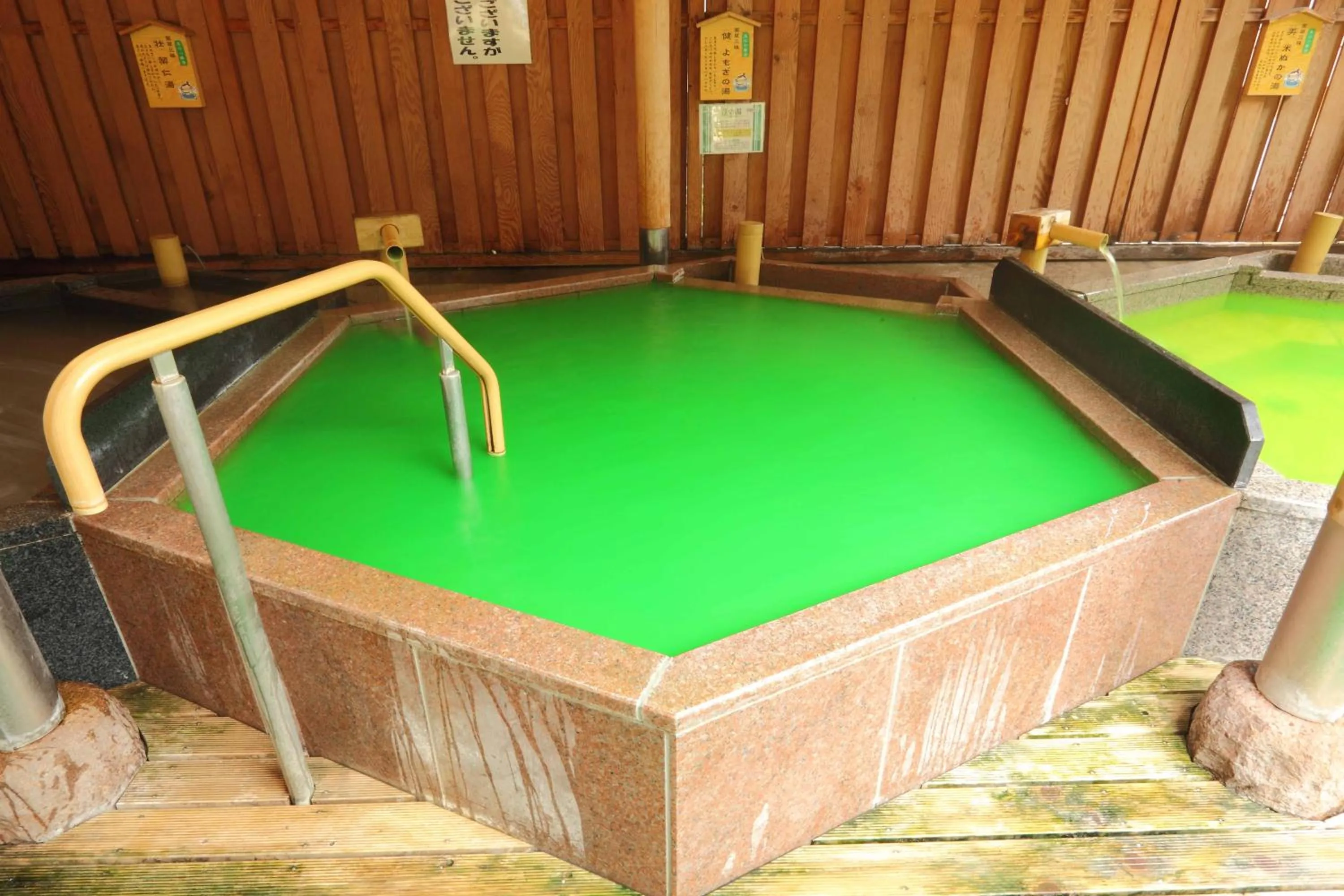 Hot Spring Bath in Hotel Futaba